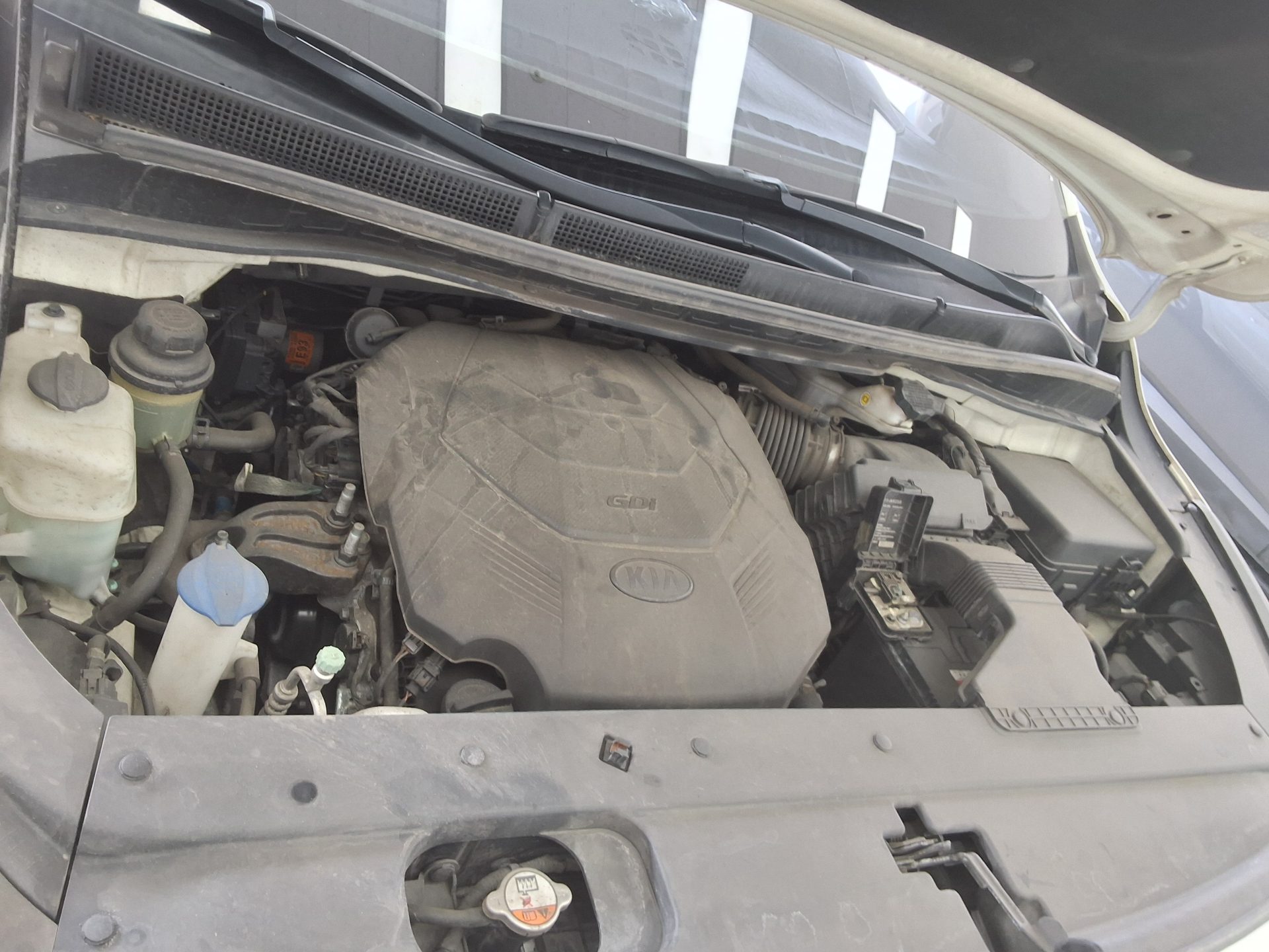 2019 - kia carnival