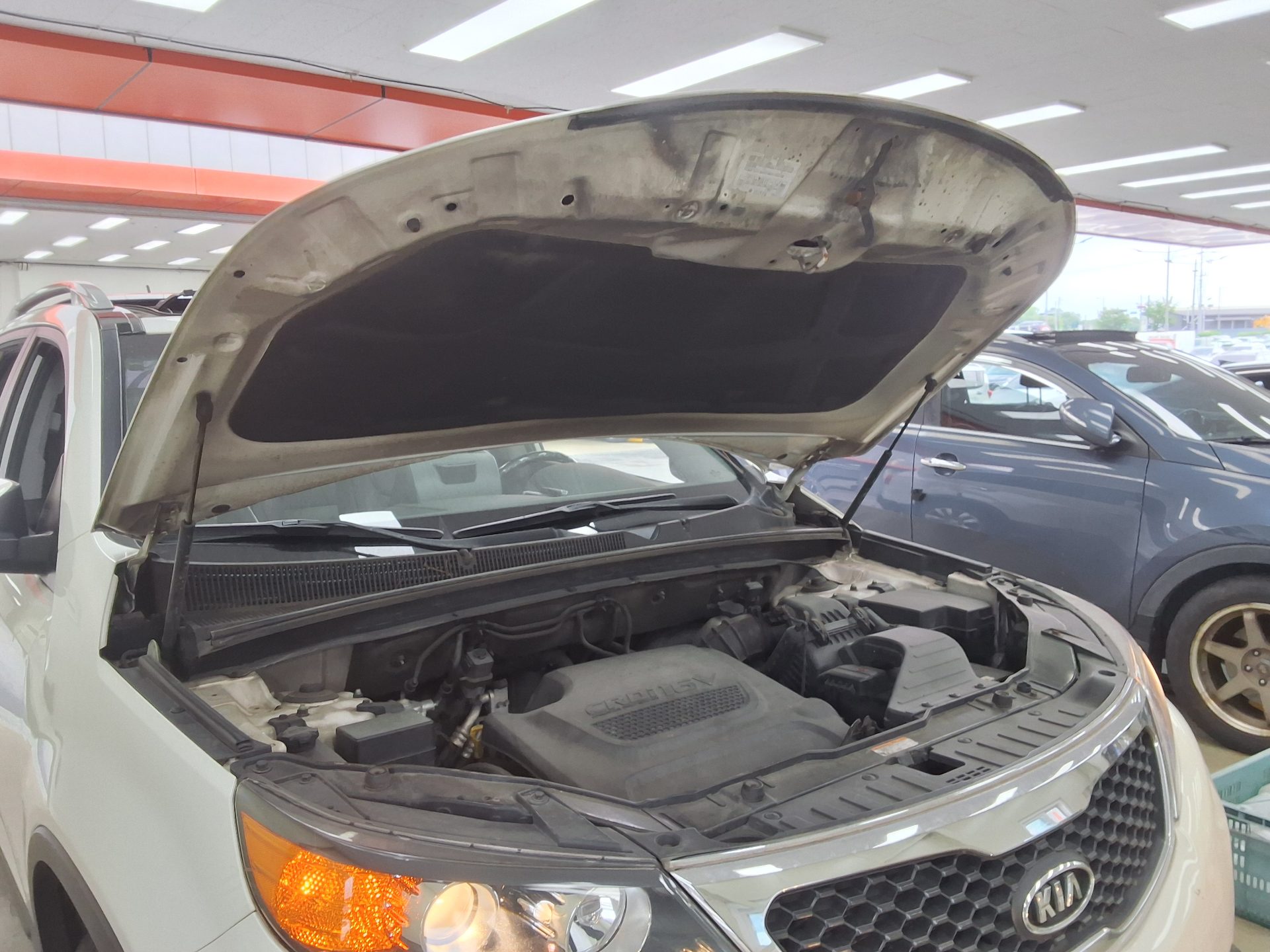 2010 - kia sorento