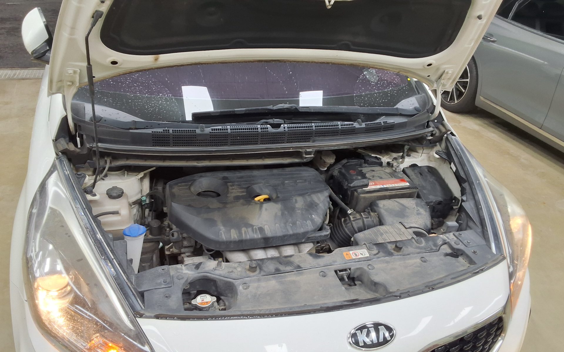 2017 - kia carens