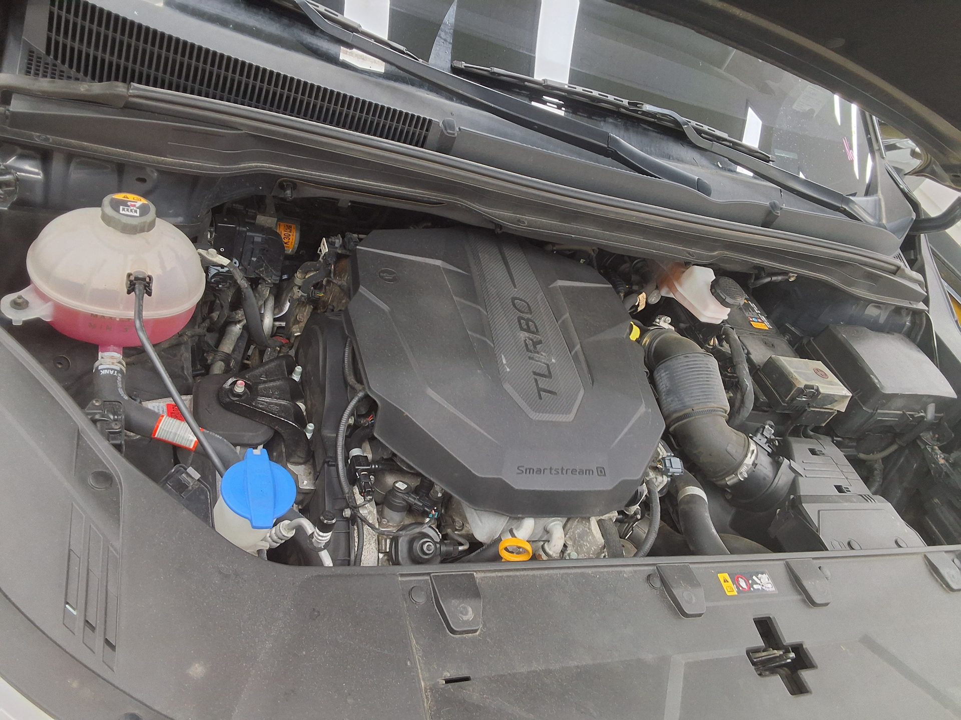 2021 - kia carnival