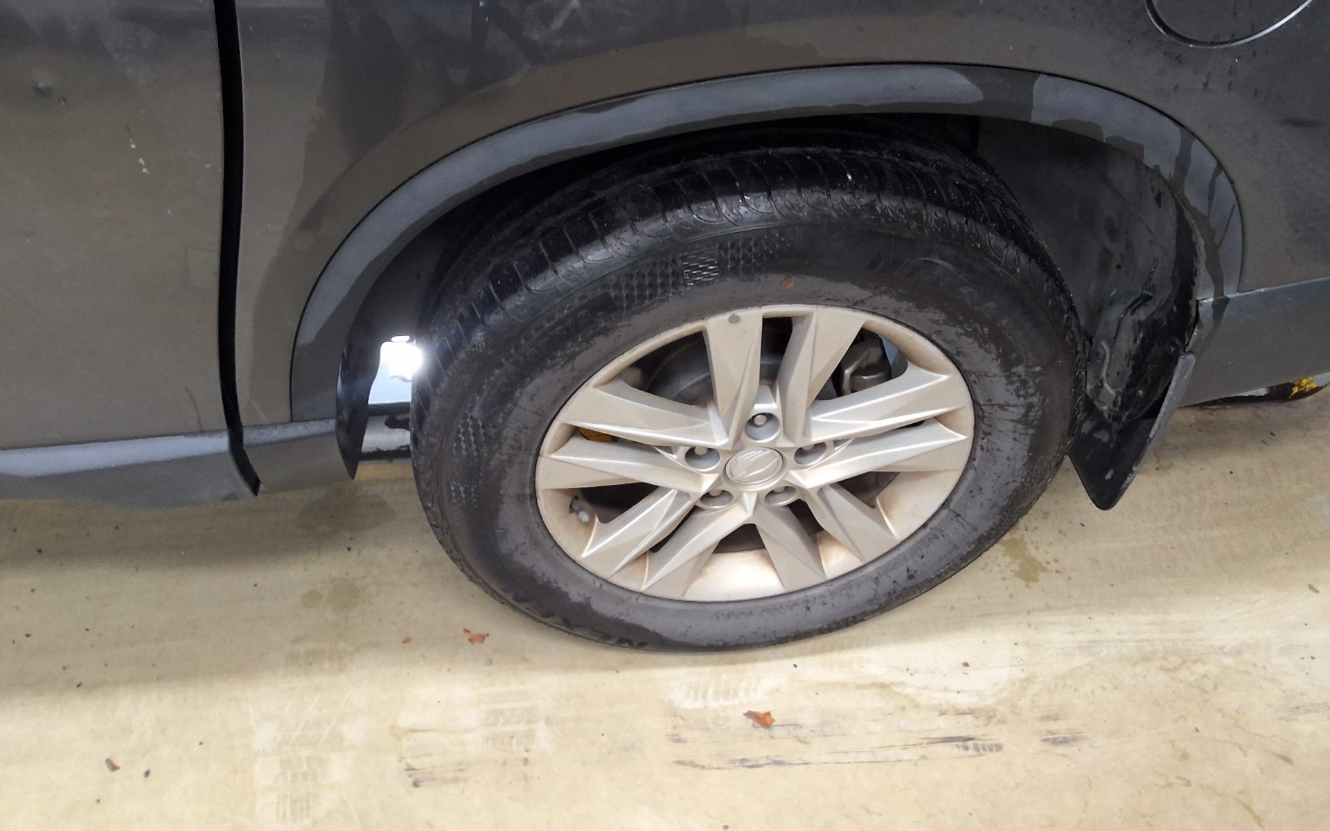 2019 - ssangyong rexton