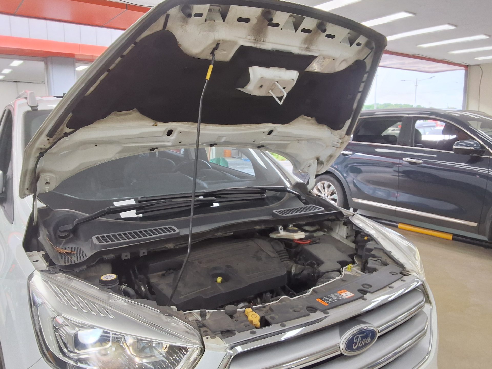 2017 - ford kuga