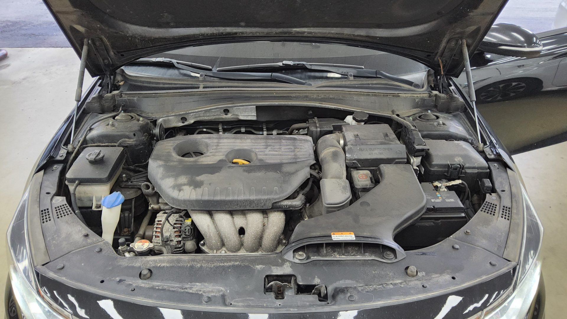 2019 - kia k5