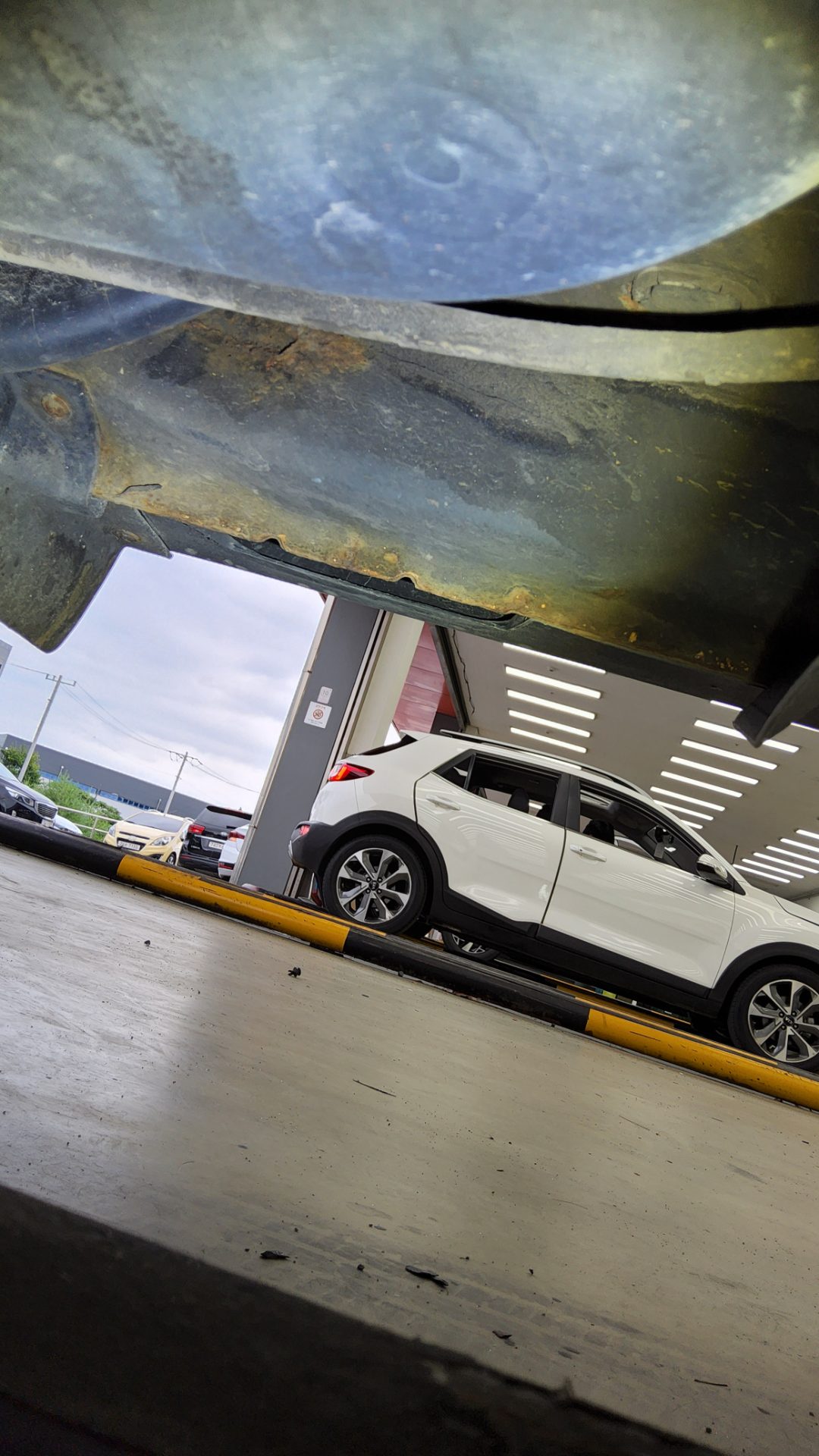 2011 - kia sportage
