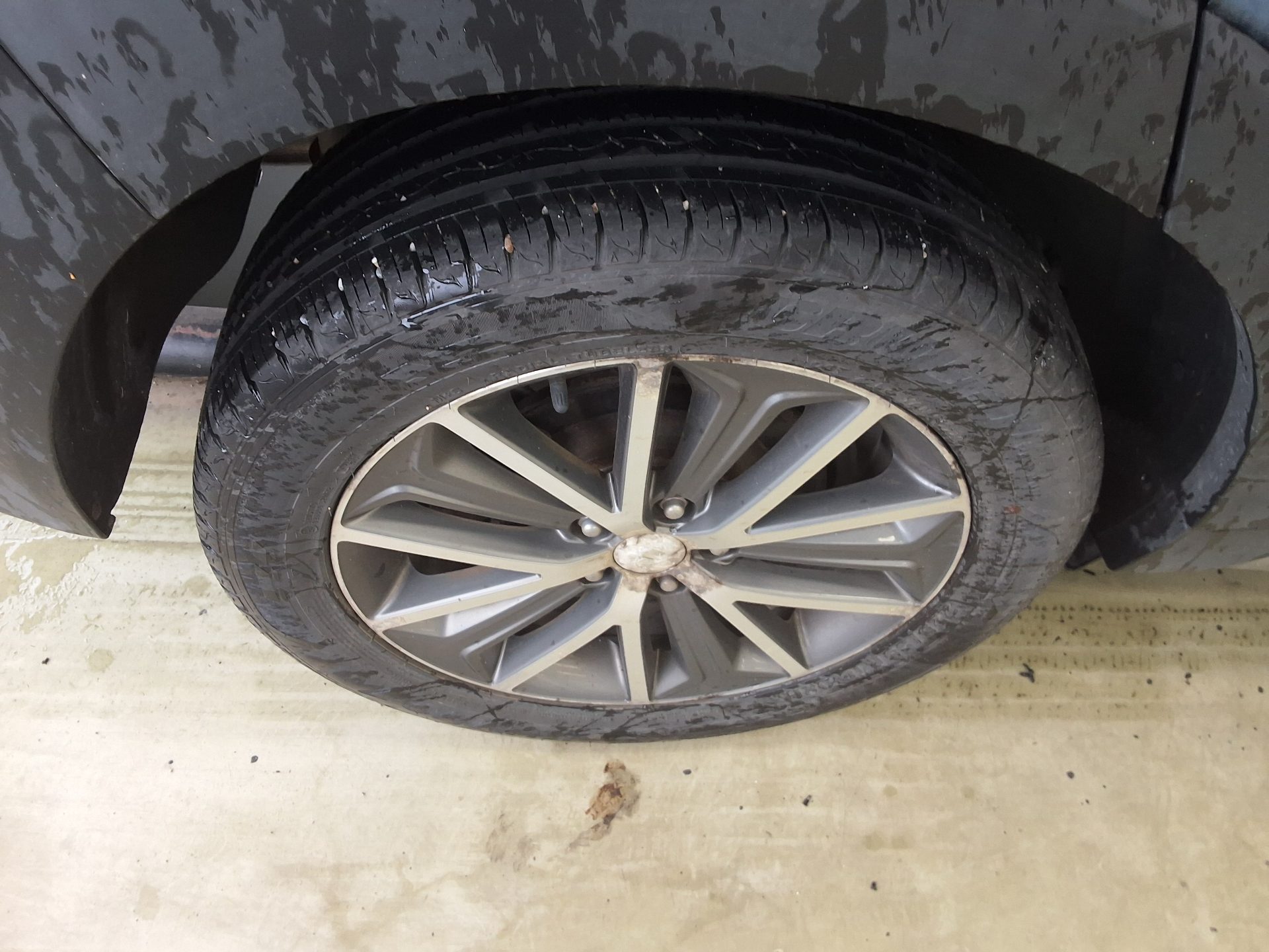 2017 - hyundai tucson