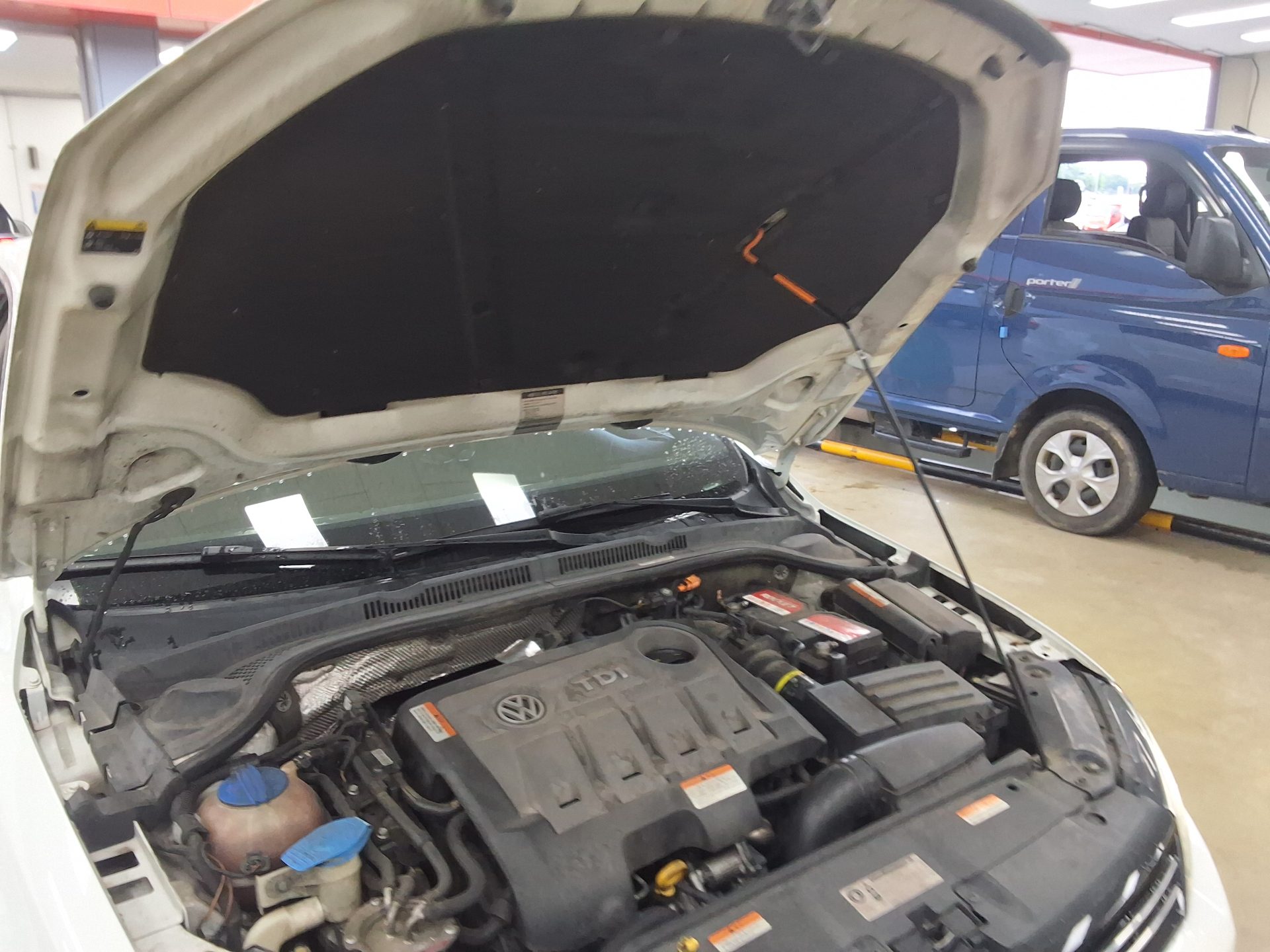 2014 - volkswagen jetta