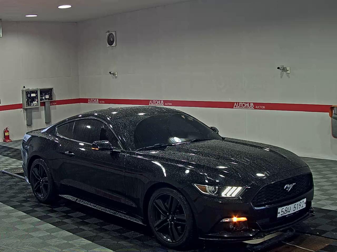 2017 - ford mustang
