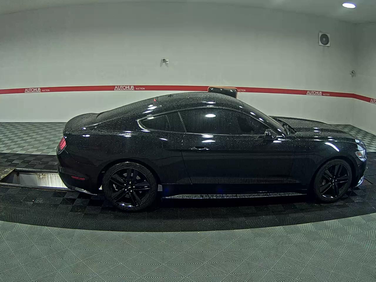 2017 - ford mustang