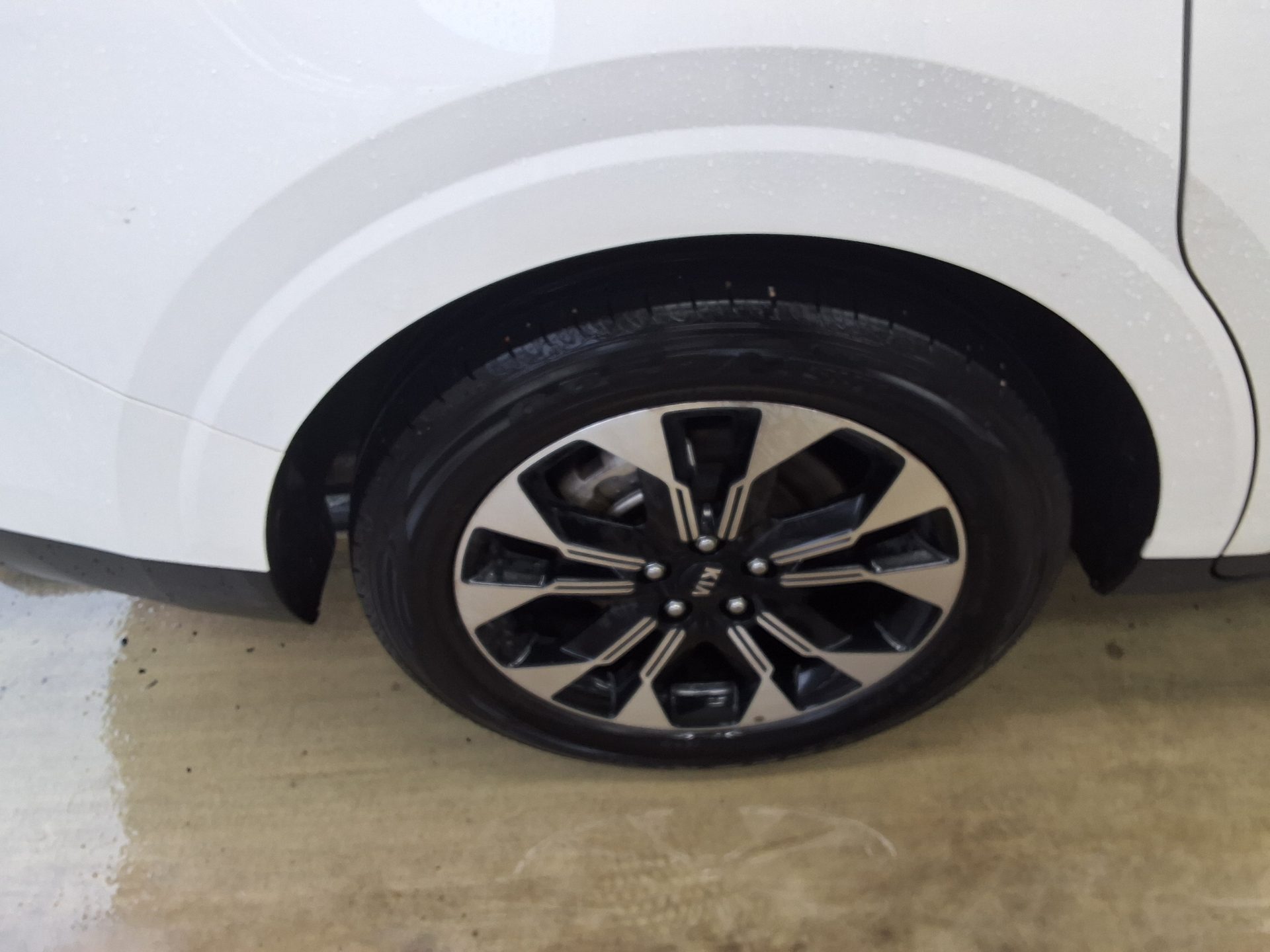 2021 - kia carnival