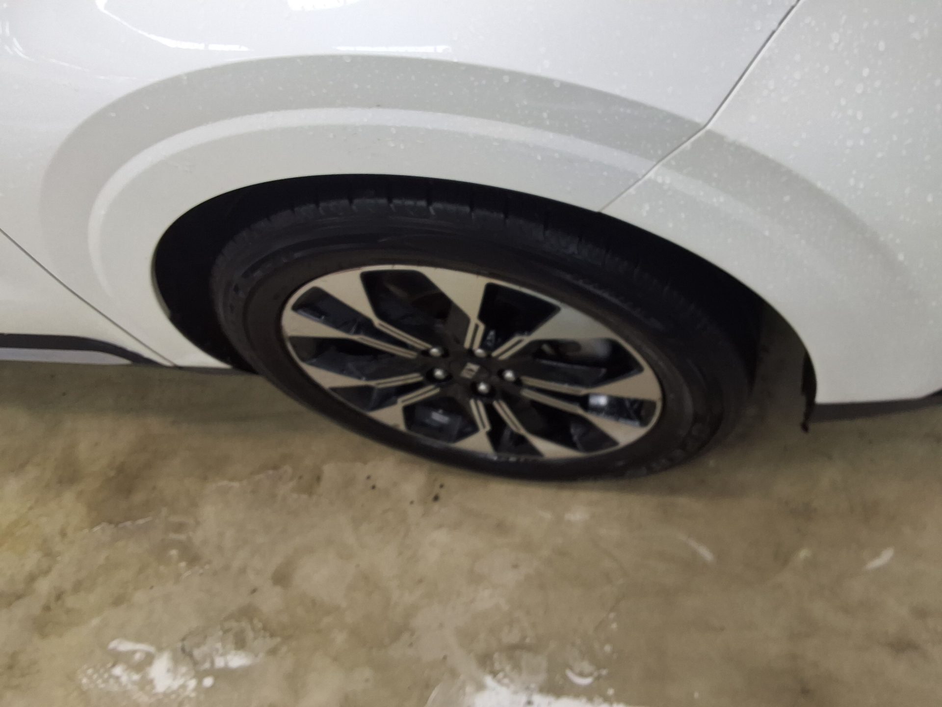 2021 - kia carnival