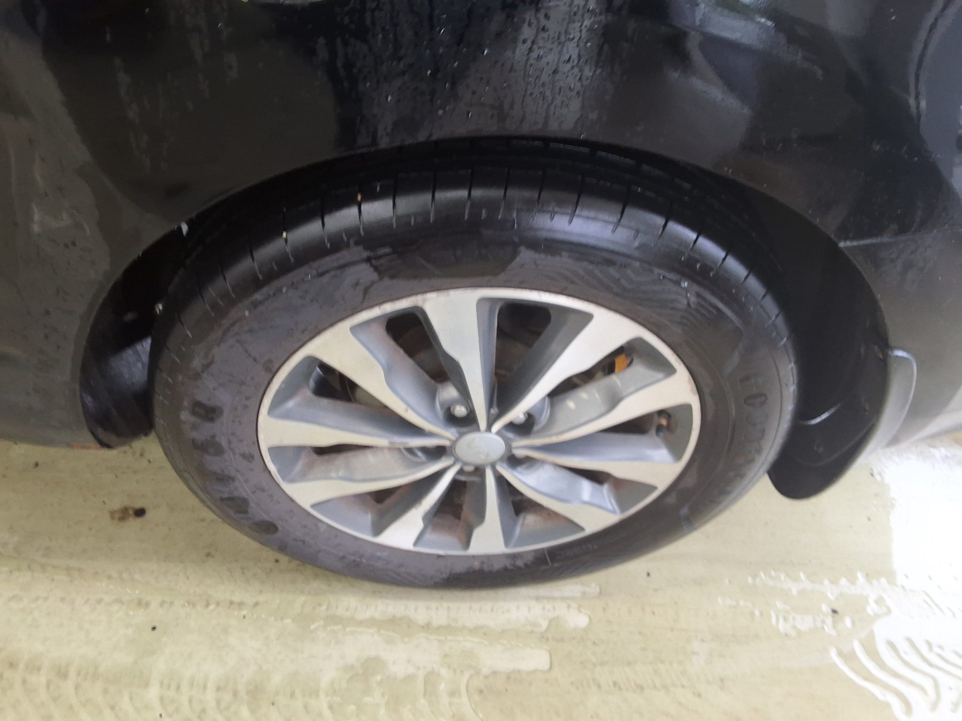 2017 - kia carnival
