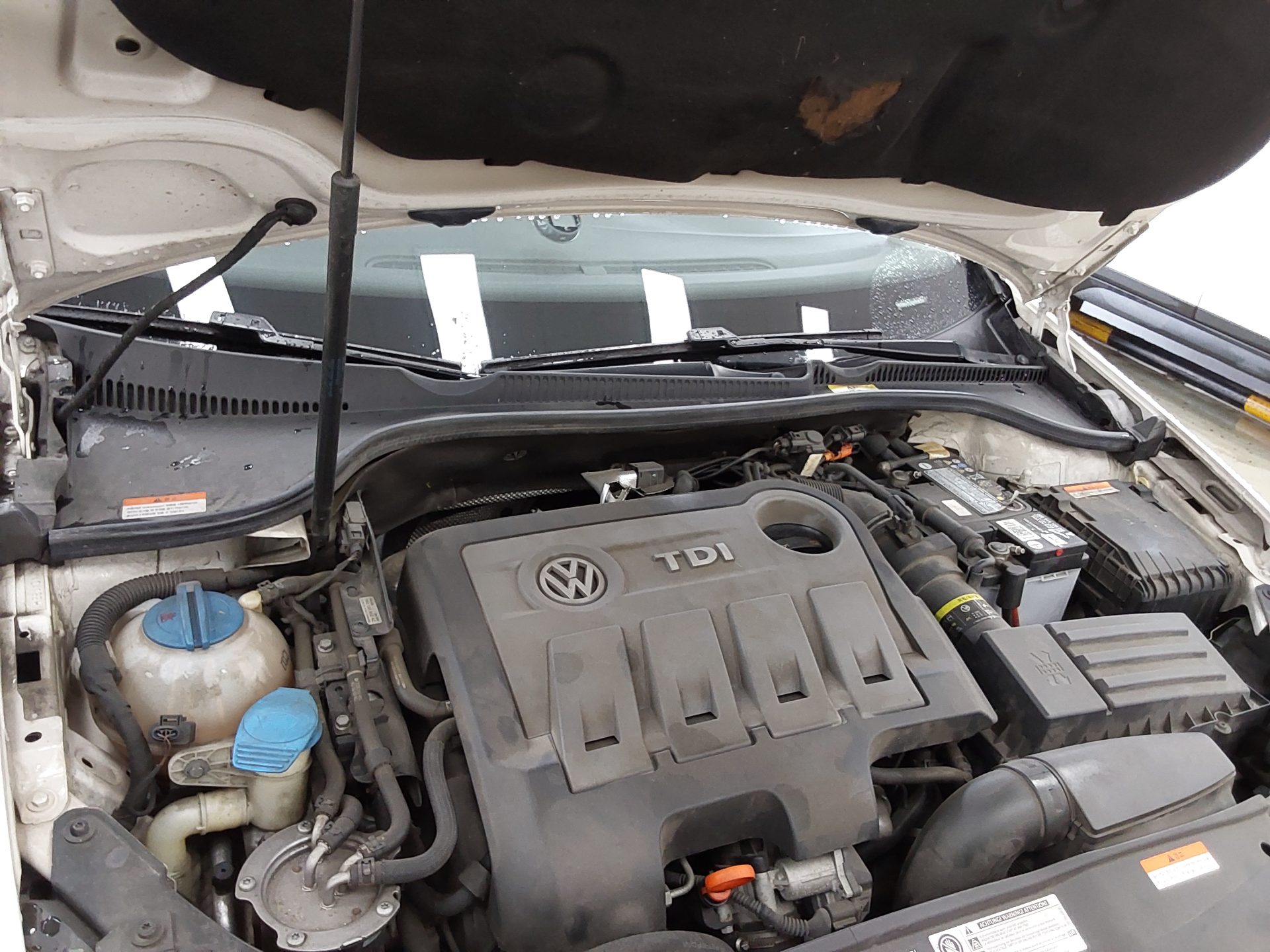 2010 - volkswagen golf