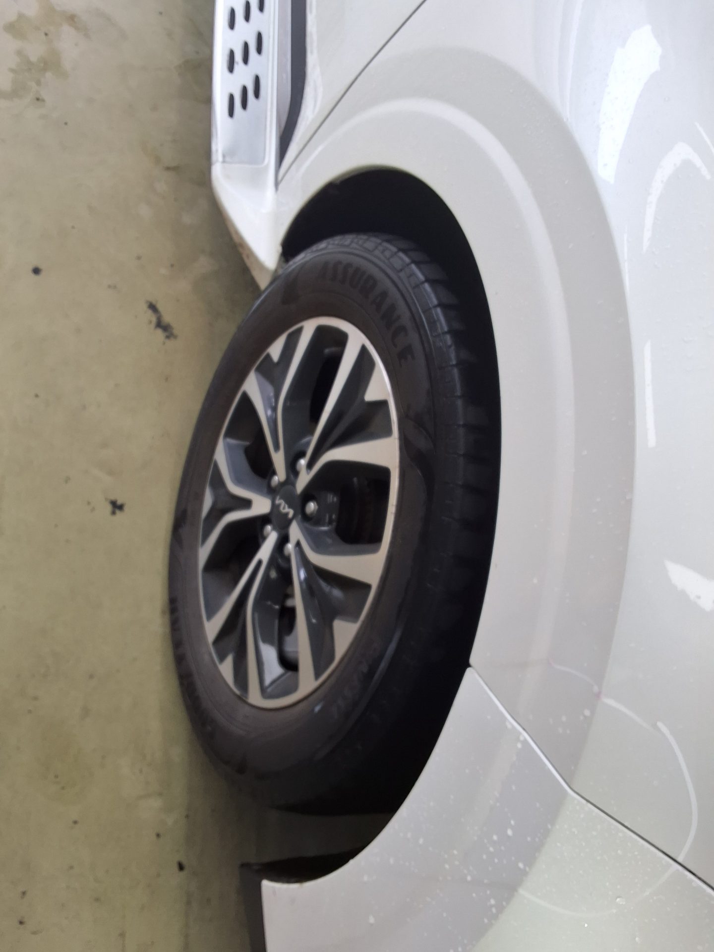 2023 - kia carnival