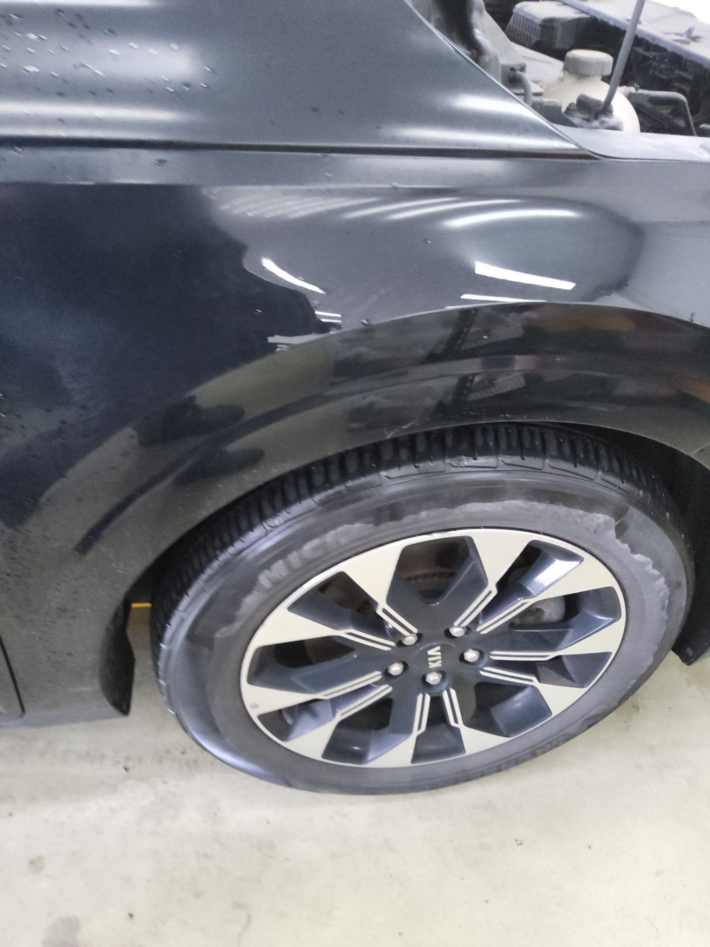 2021 - kia carnival