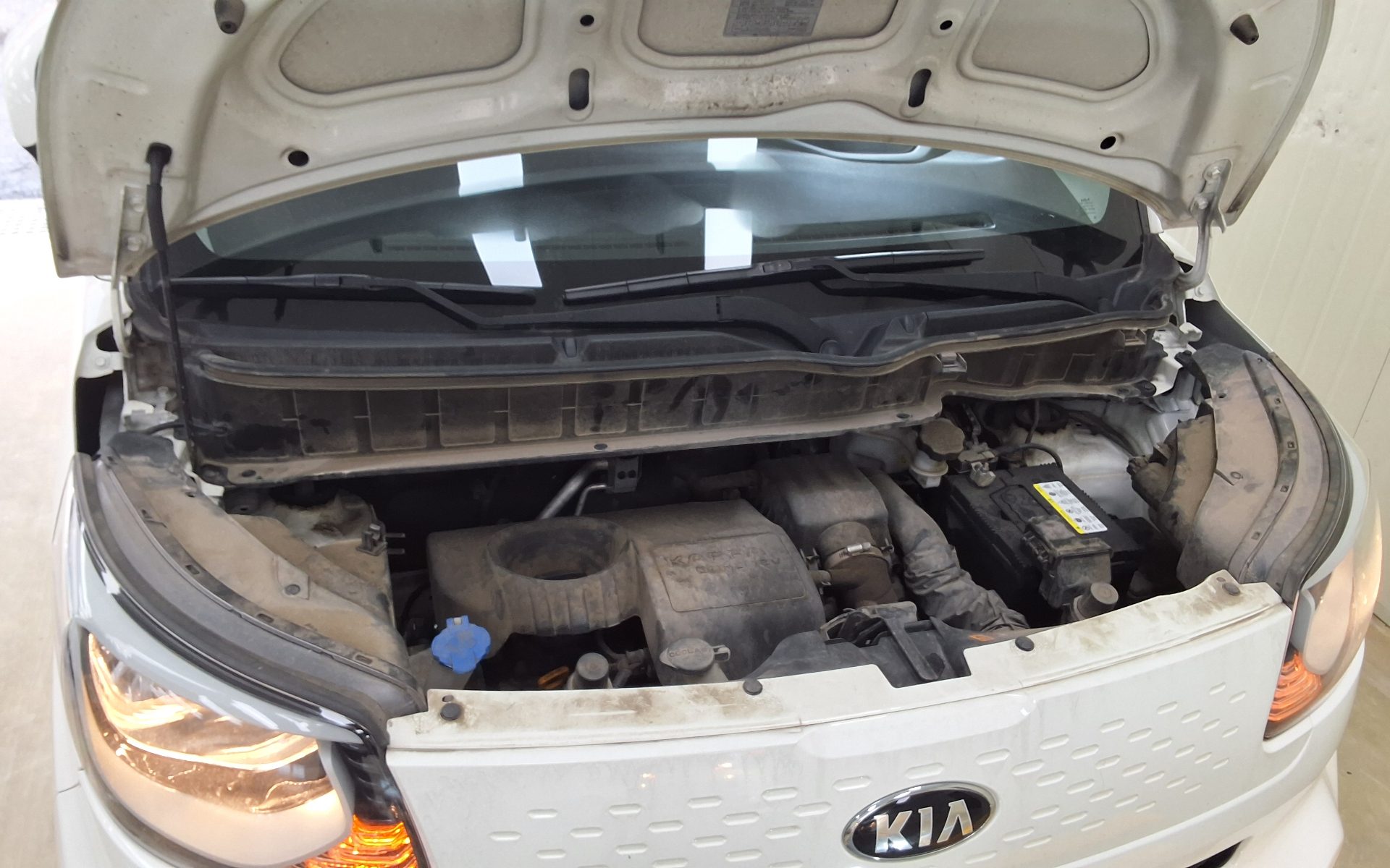 2019 - kia ray
