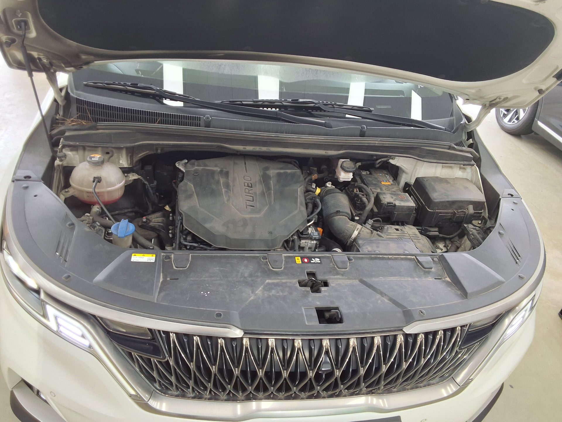 2023 - kia carnival