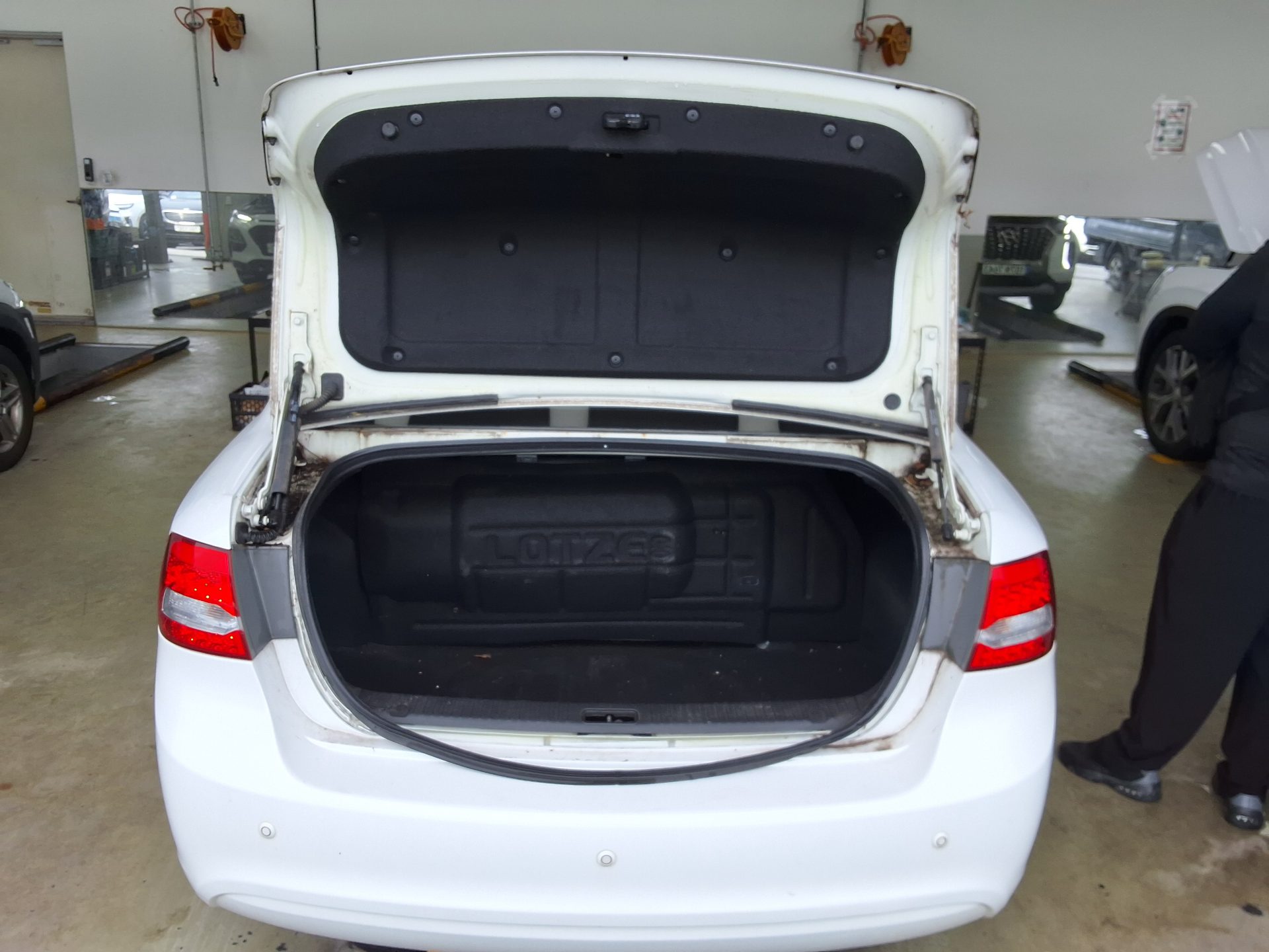 2010 - kia lotze