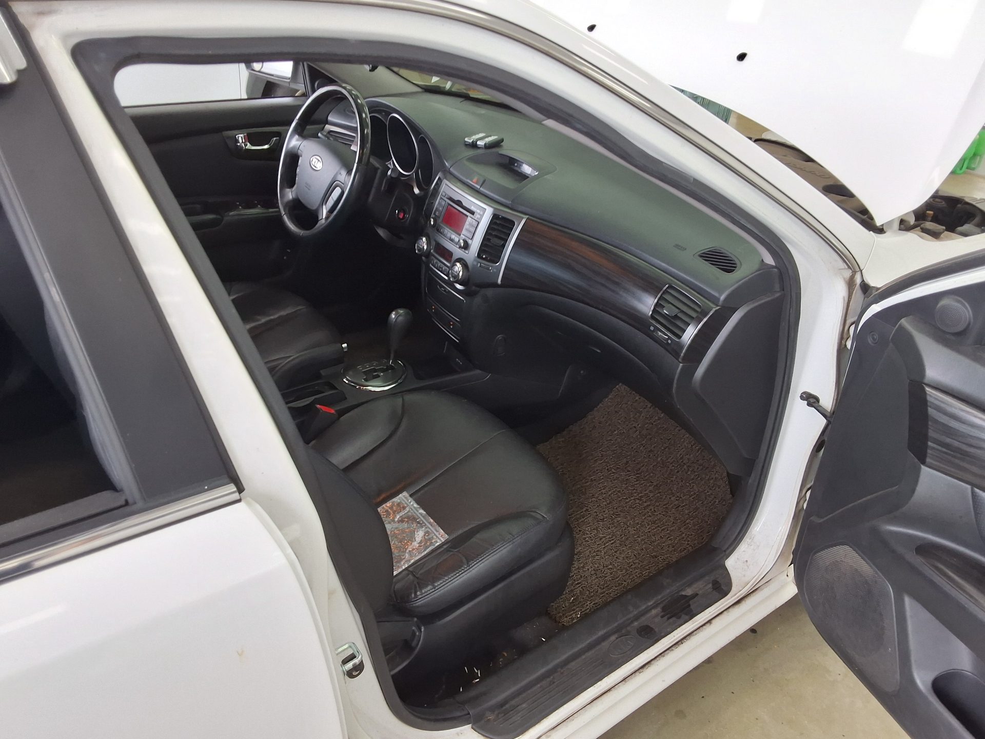 2010 - kia lotze