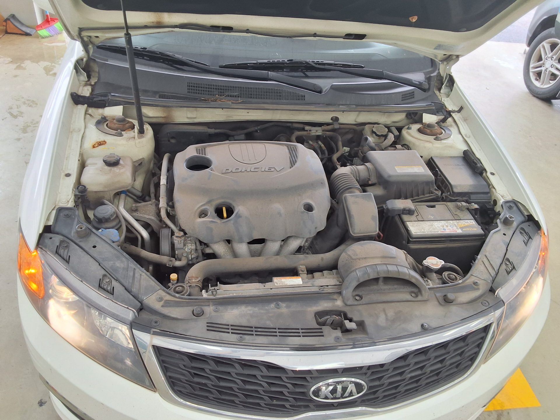 2010 - kia lotze