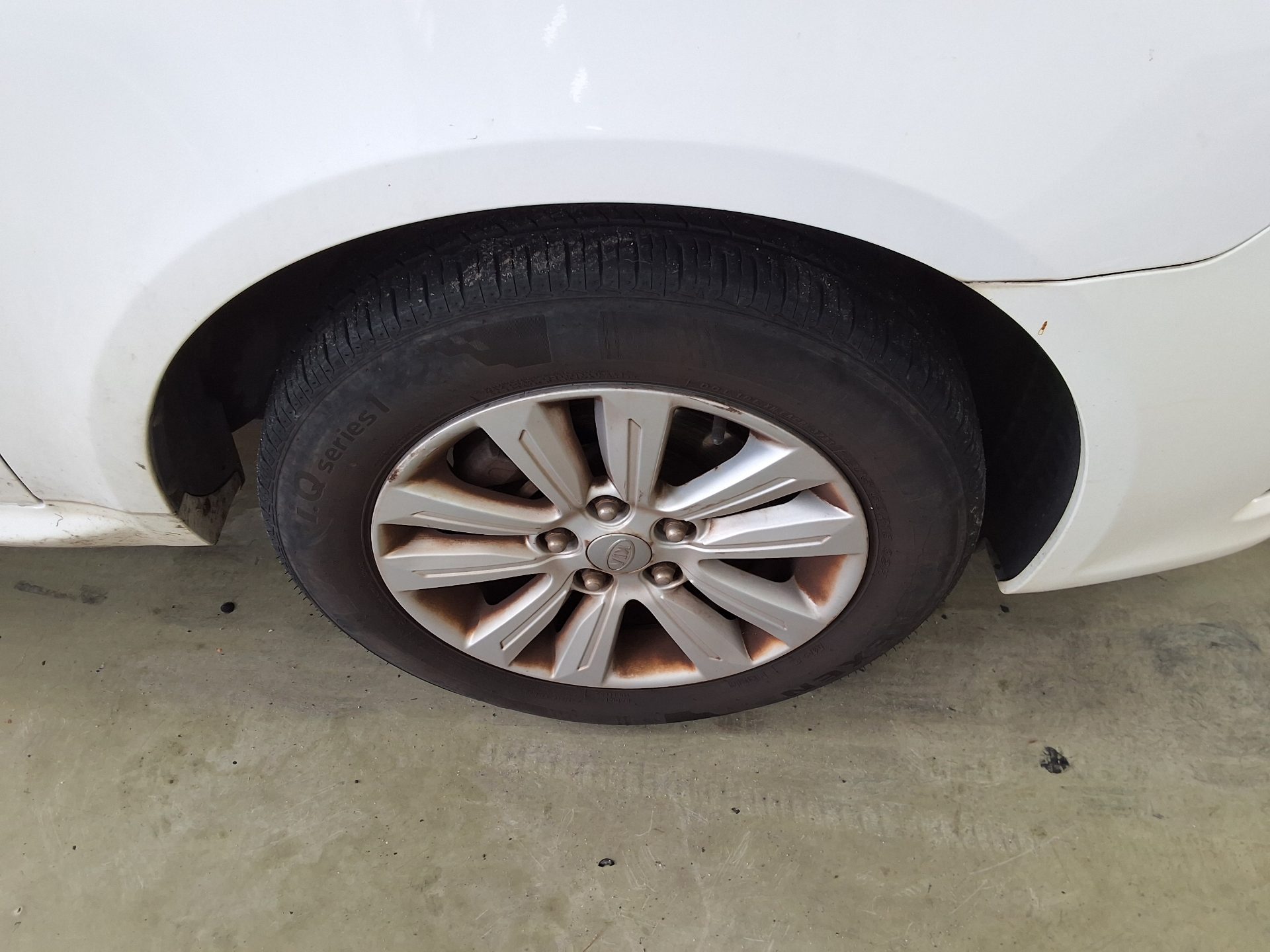 2010 - kia lotze