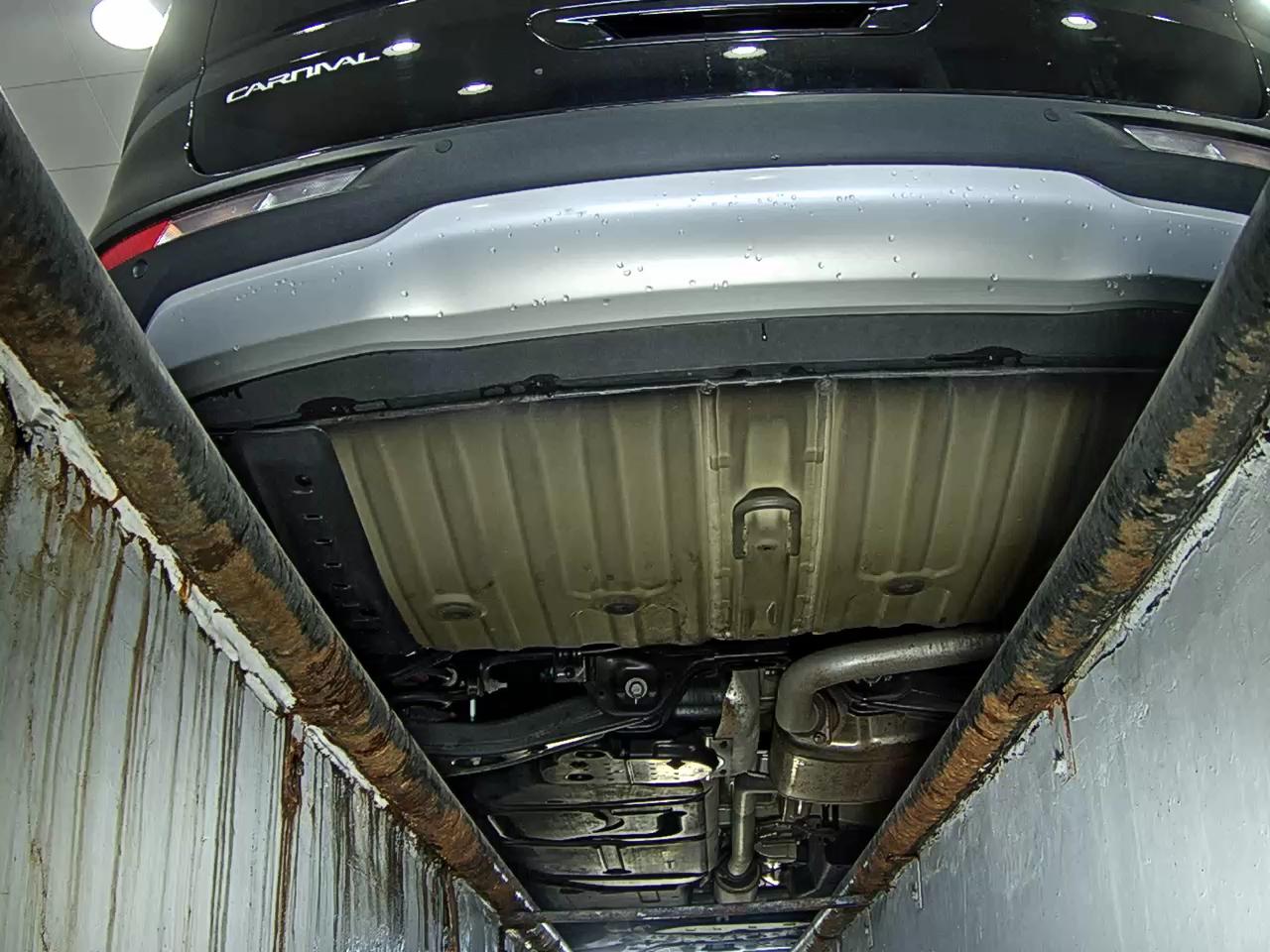 2023 - kia carnival