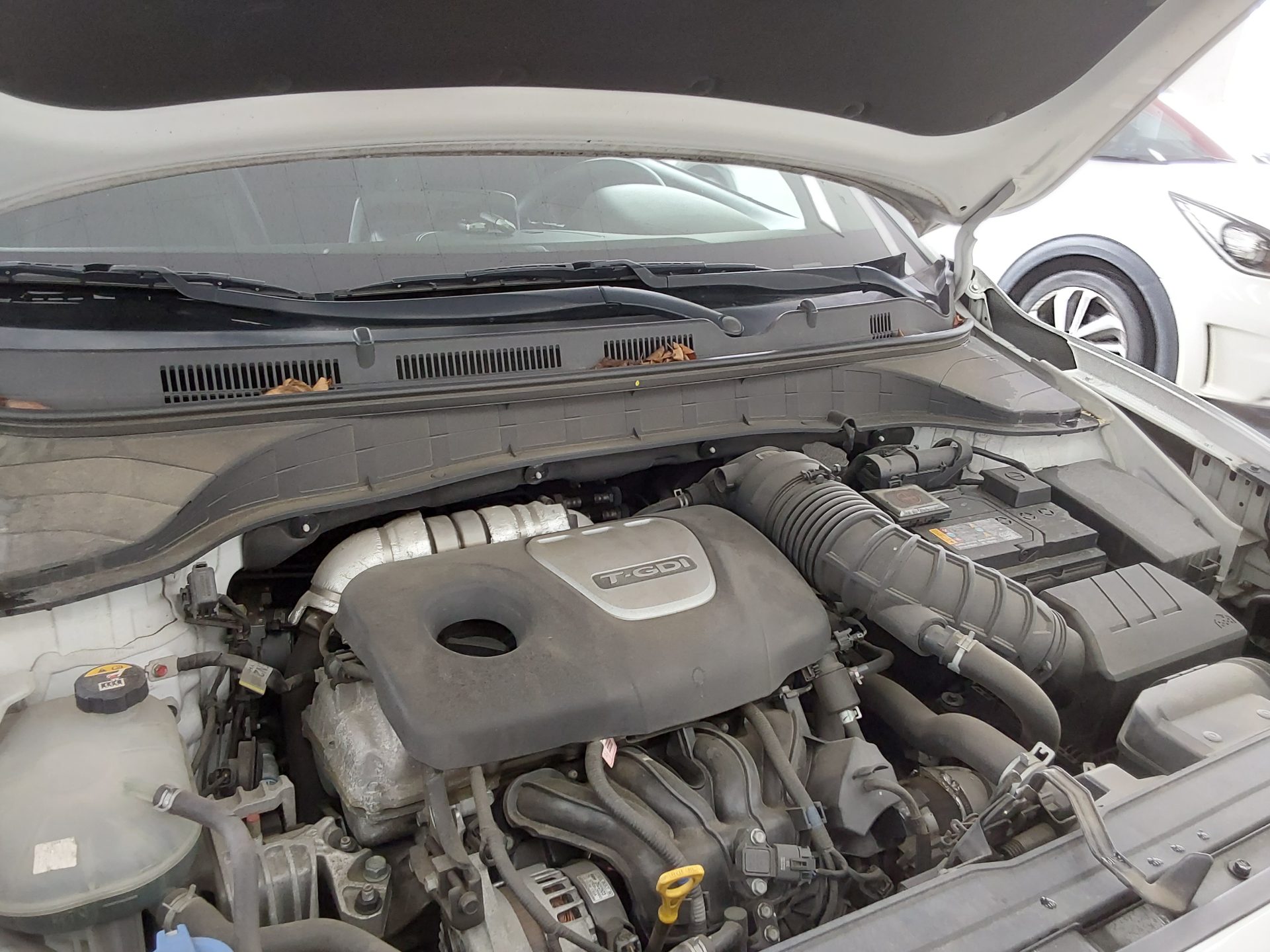 2018 - hyundai kona