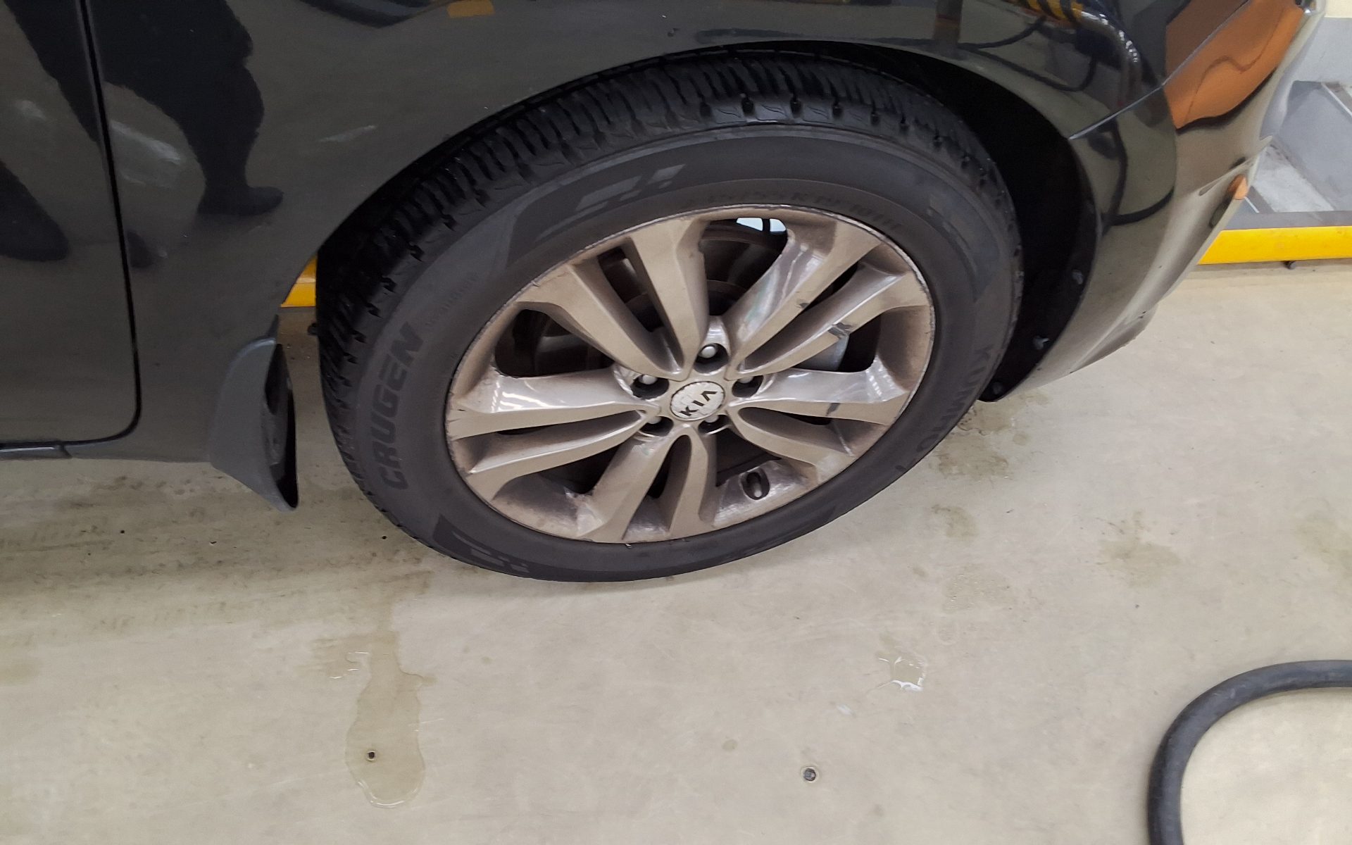 2016 - kia carnival