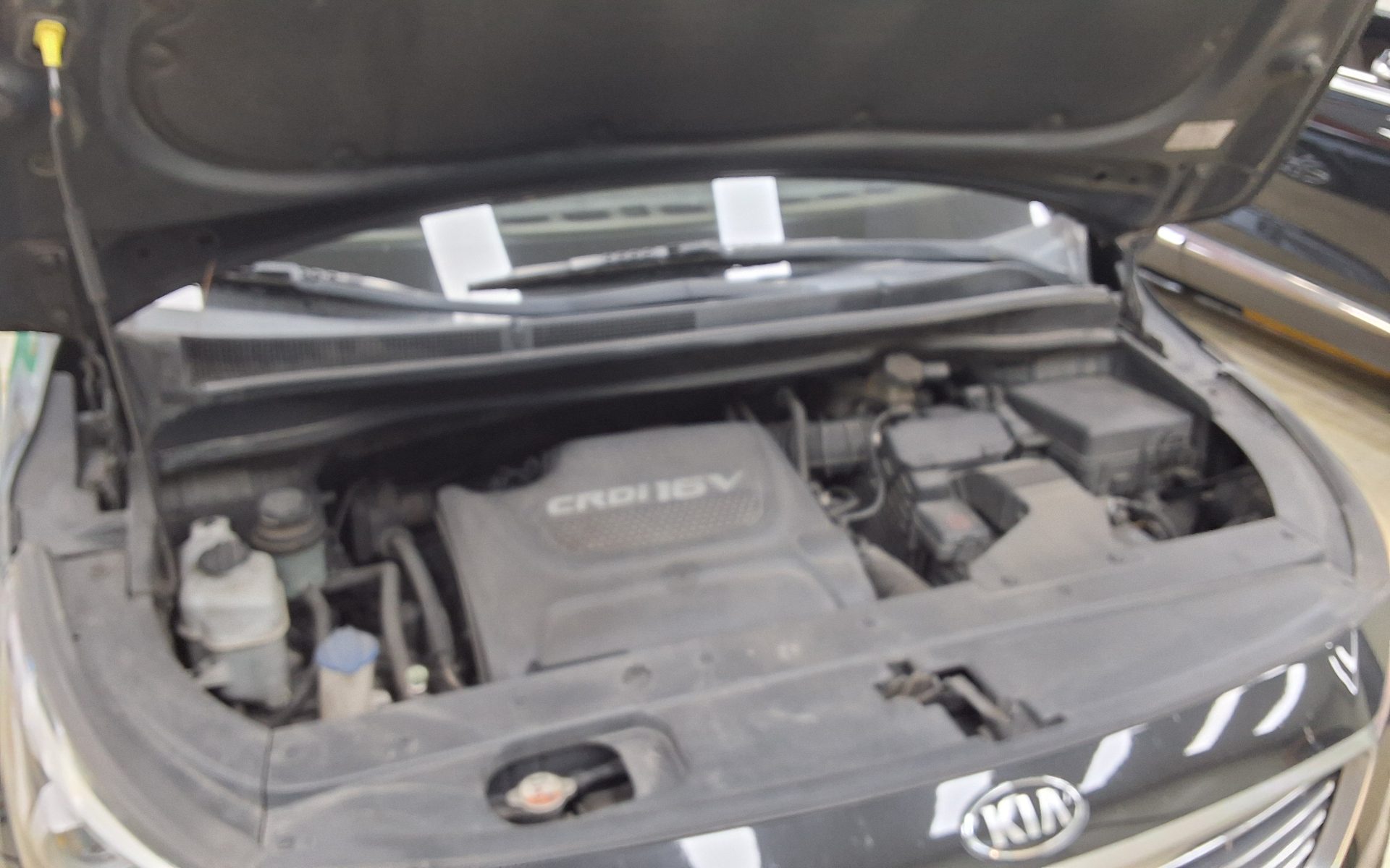 2016 - kia carnival