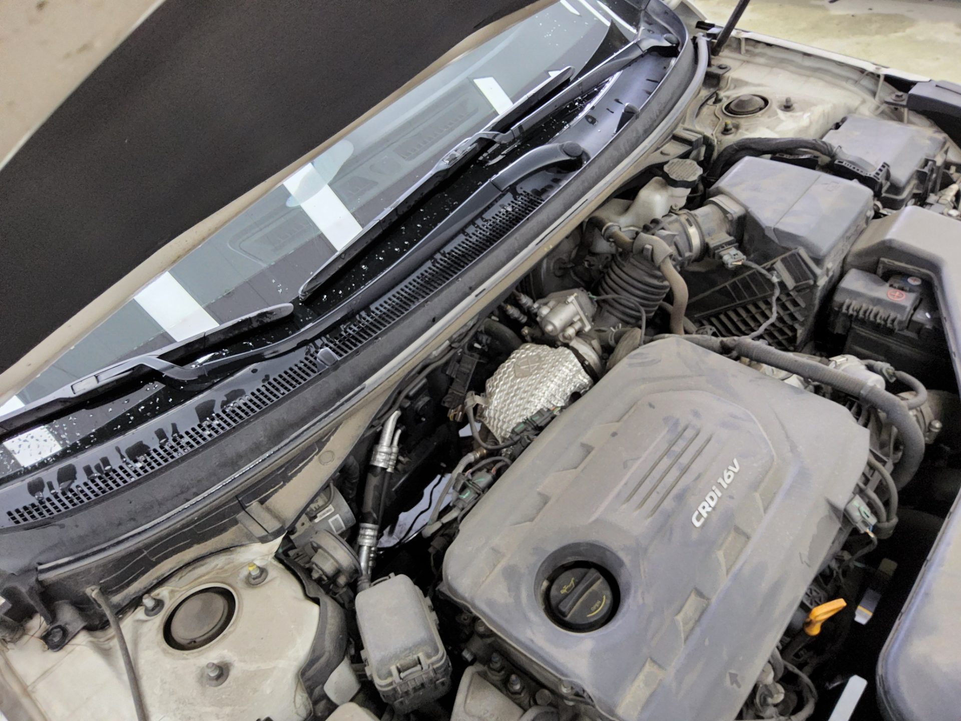 2016 - hyundai sonata