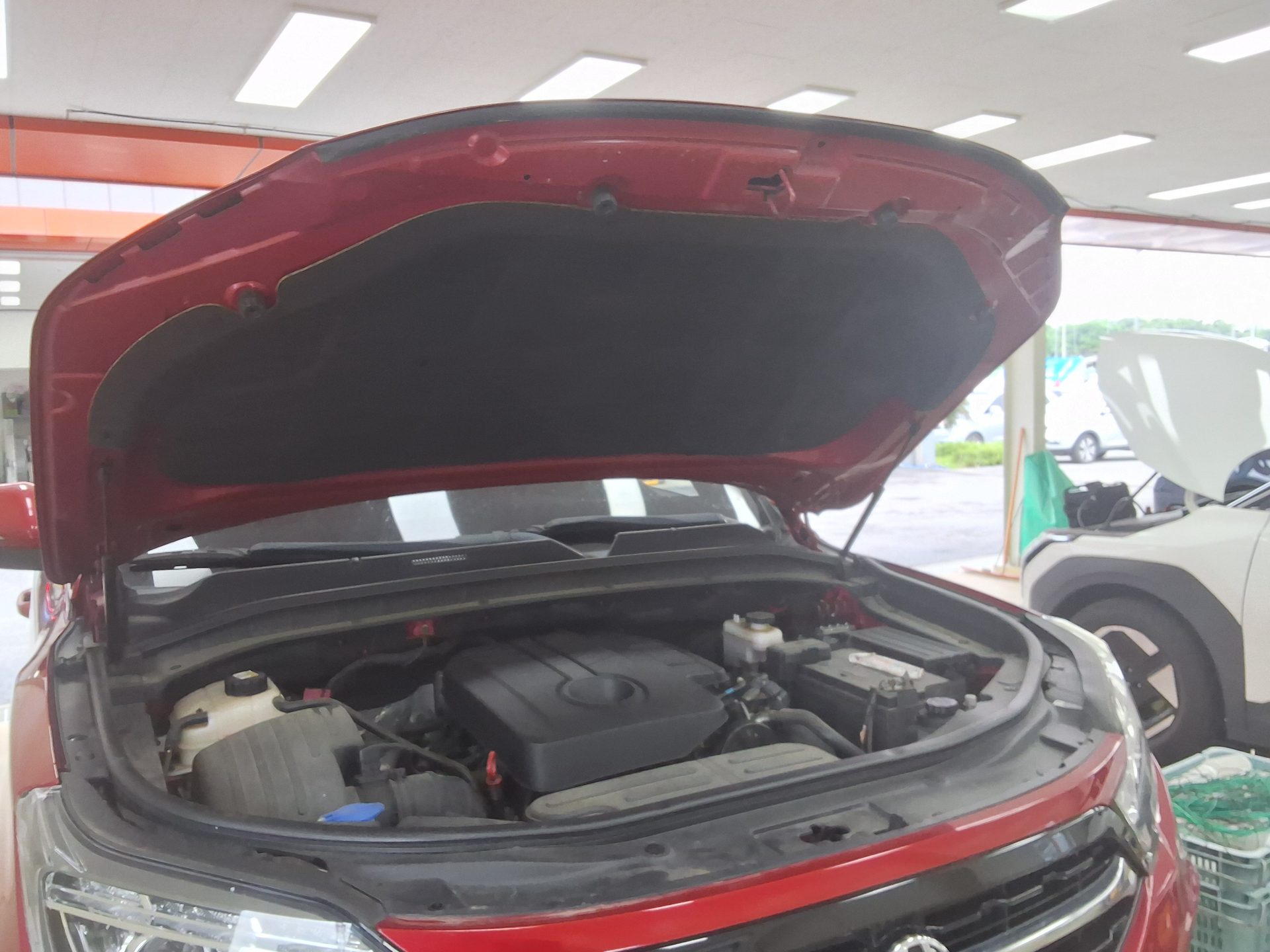2020 - ssangyong rexton
