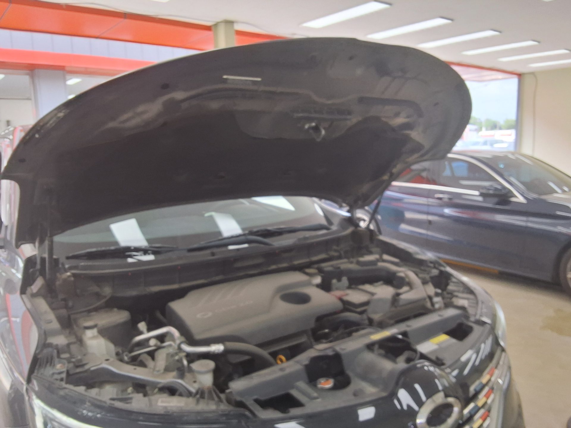 2019 - renault qm6