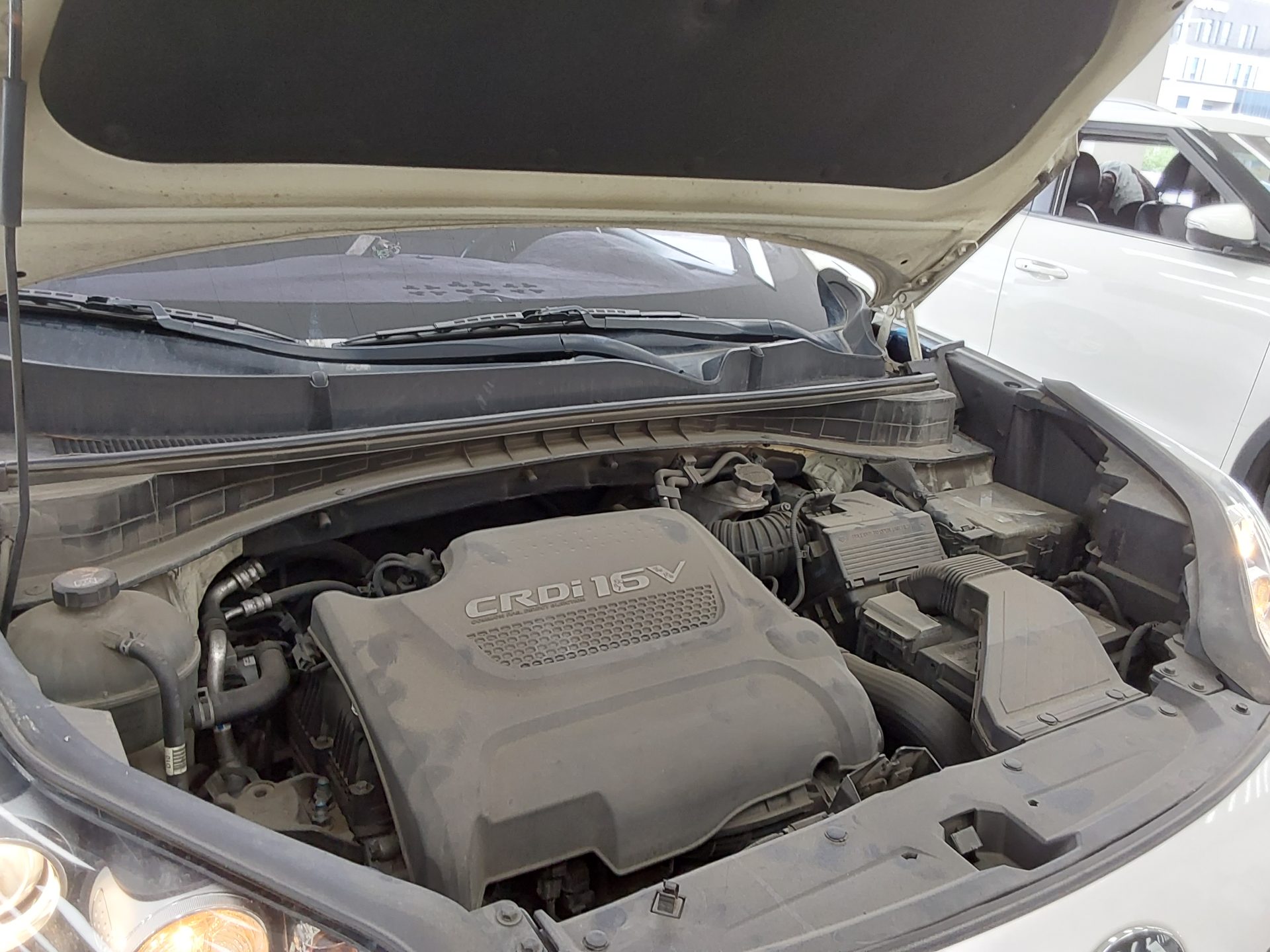 2016 - kia sportage