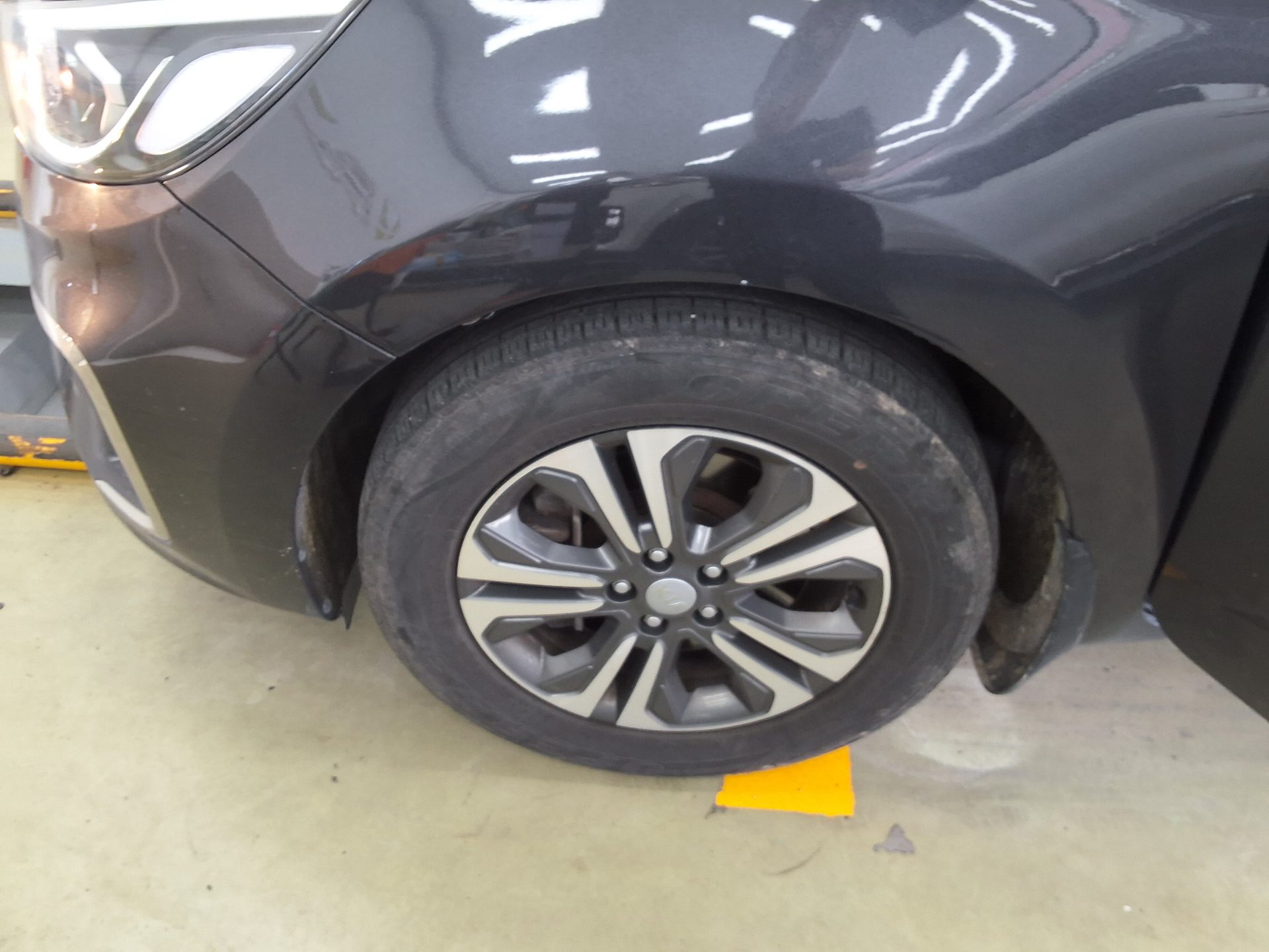 2019 - kia carnival
