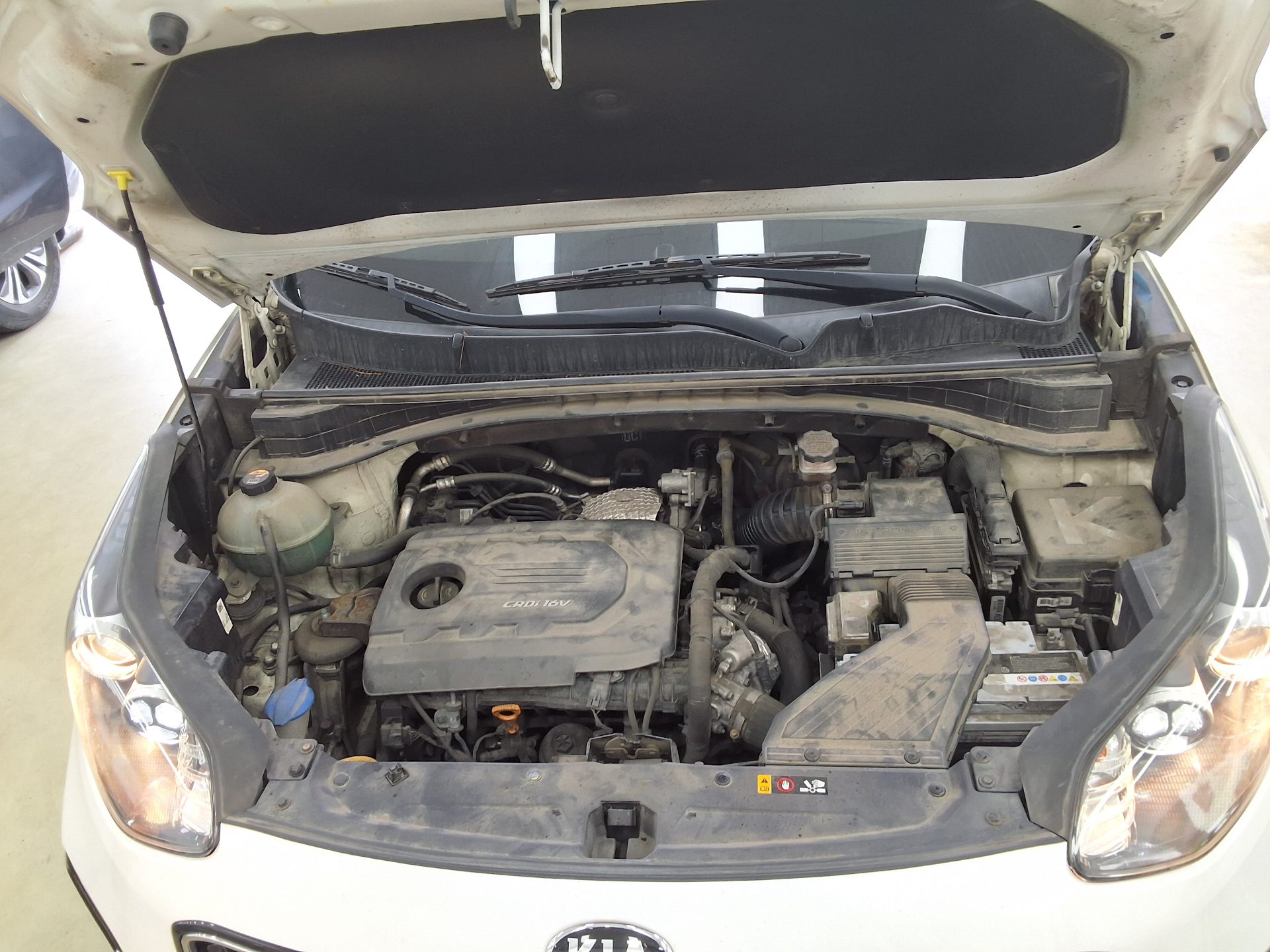 2016 - kia sportage