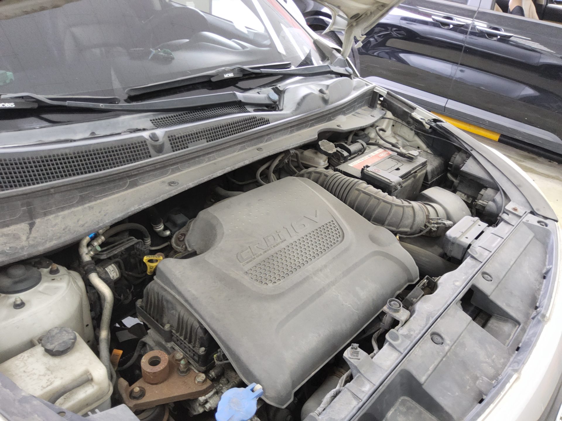 2011 - kia sportage