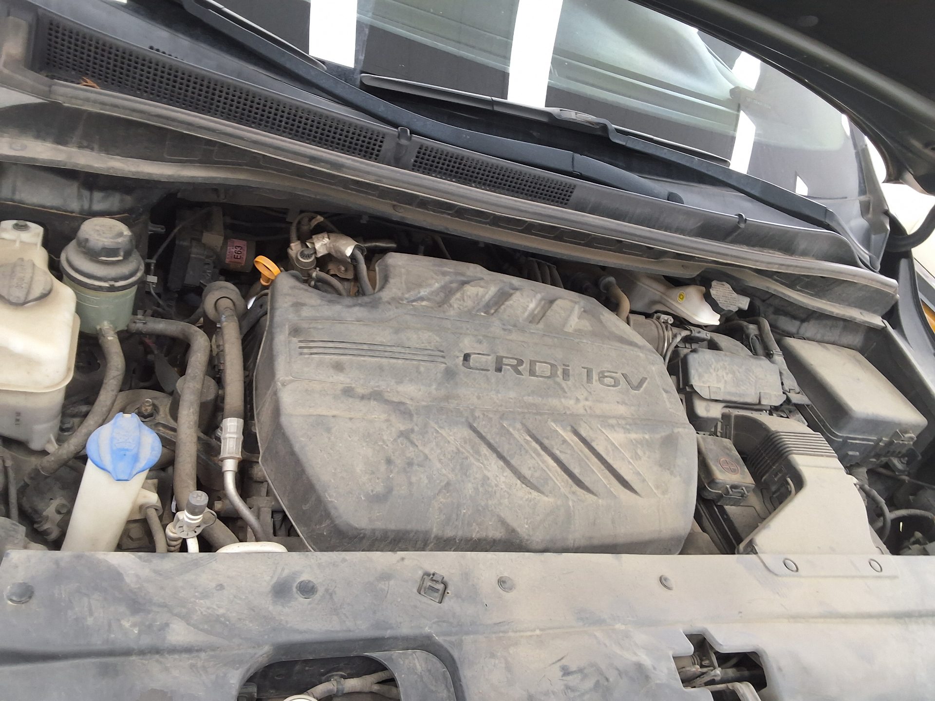 2019 - kia carnival