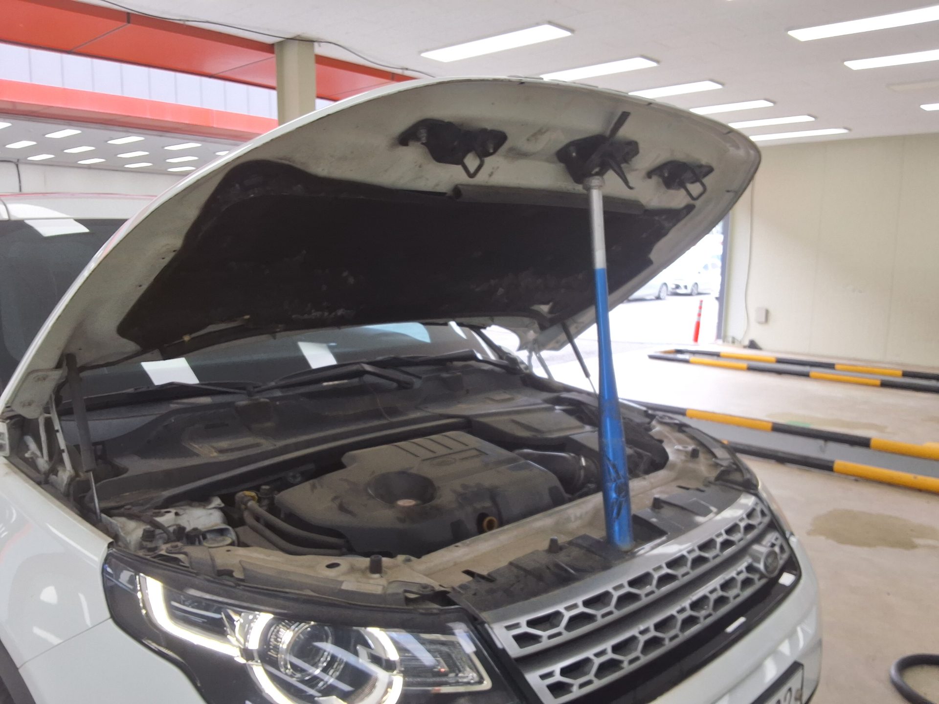 2017 - land rover discovery