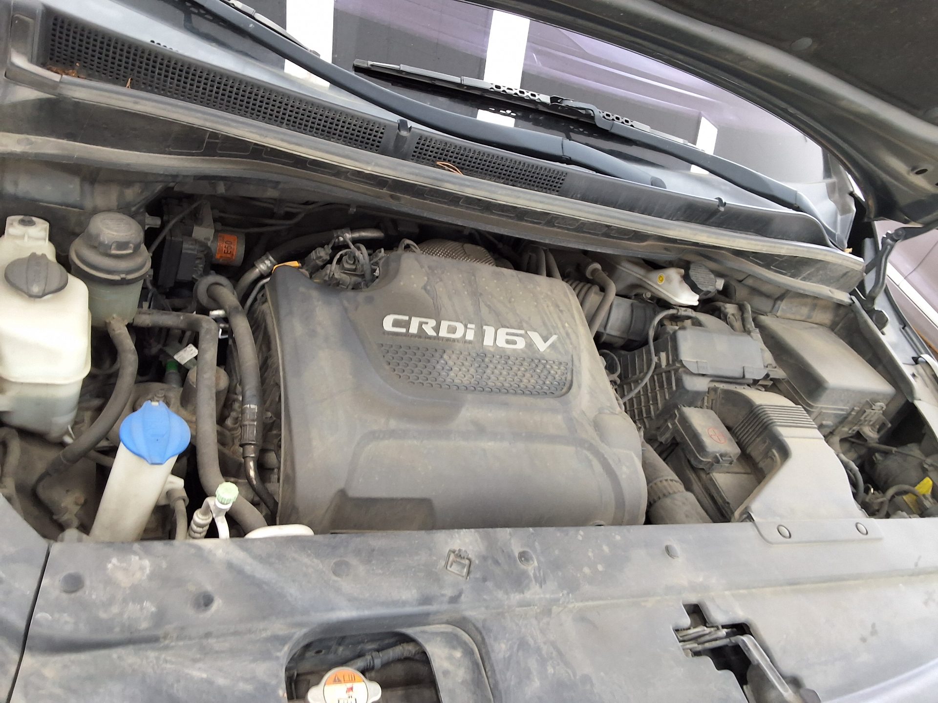 2018 - kia carnival