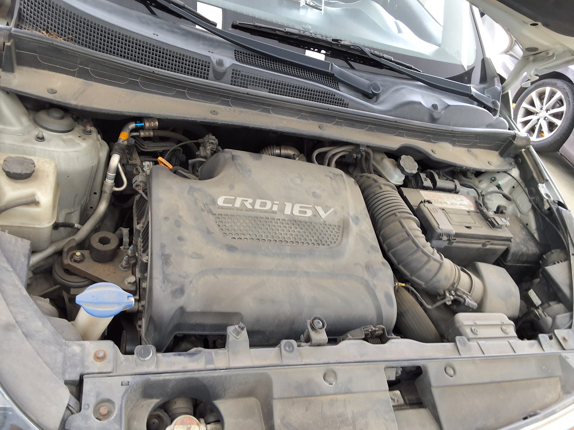 2015 - kia sportage
