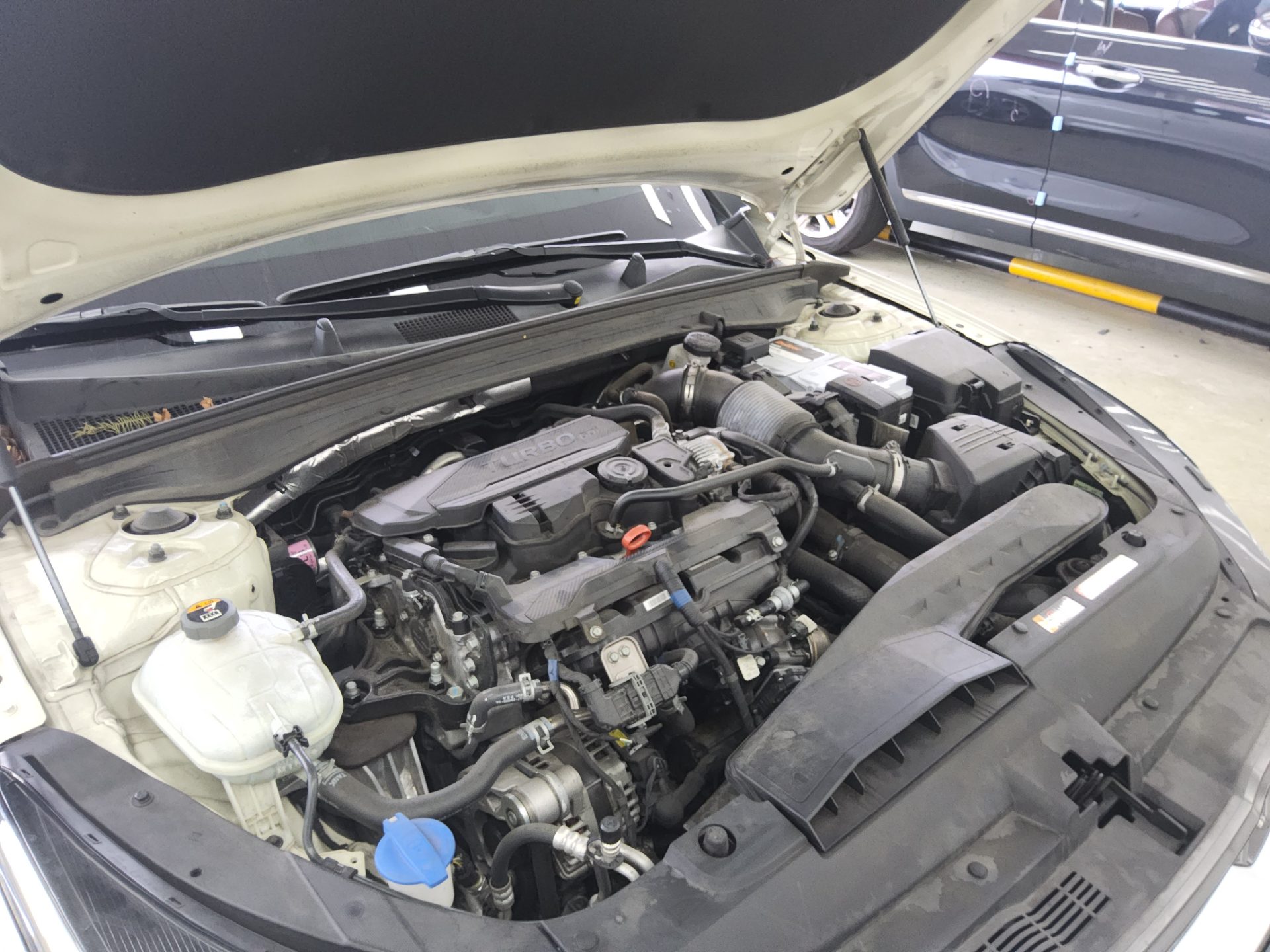 كيا كي 5 2020 TURBO PRESTIGE