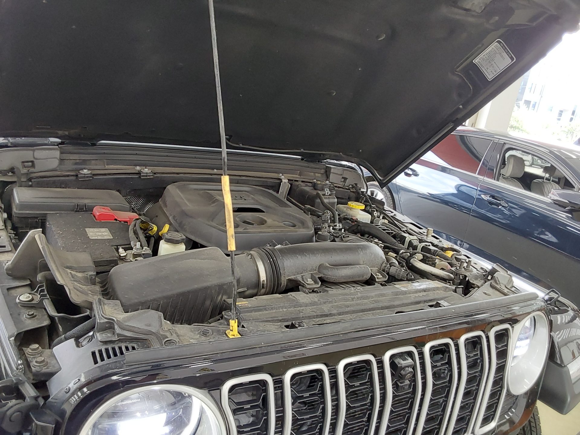 2024 - jeep wrangler