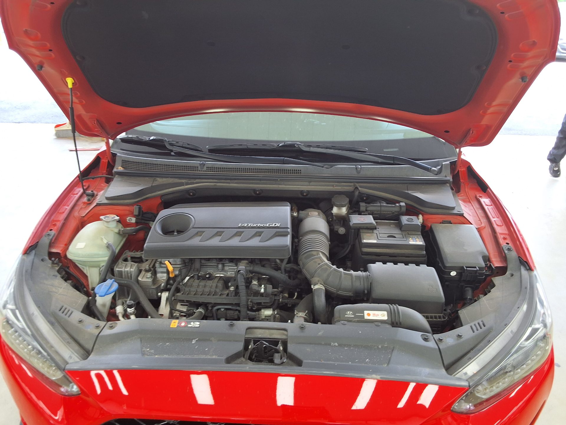2019 - hyundai veloster