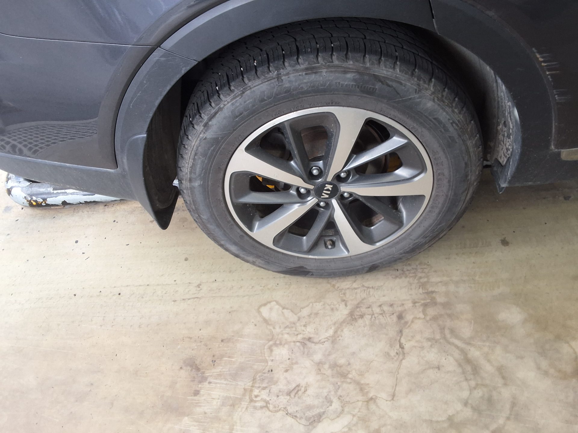 2019 - kia sorento