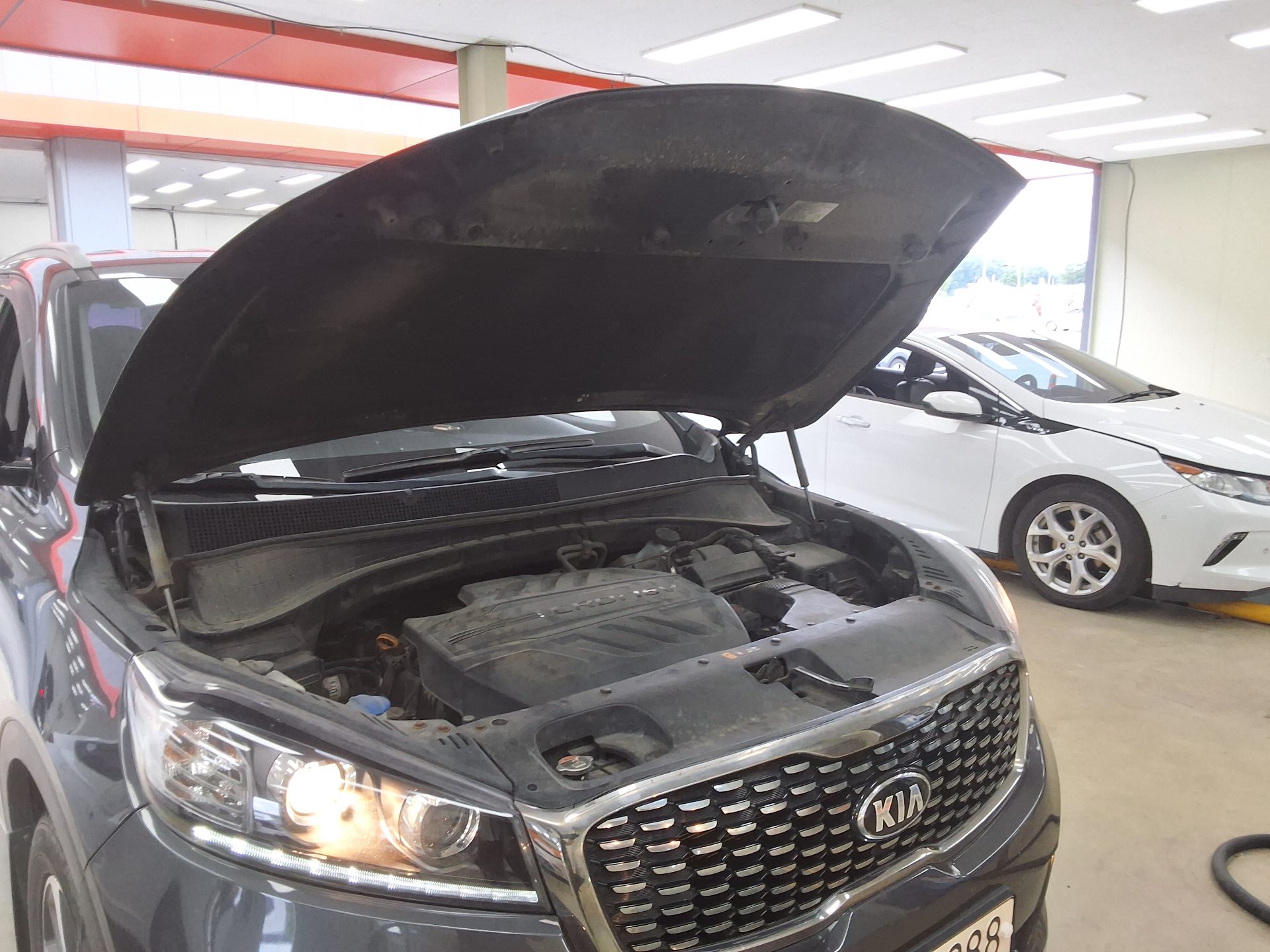 2019 - kia sorento