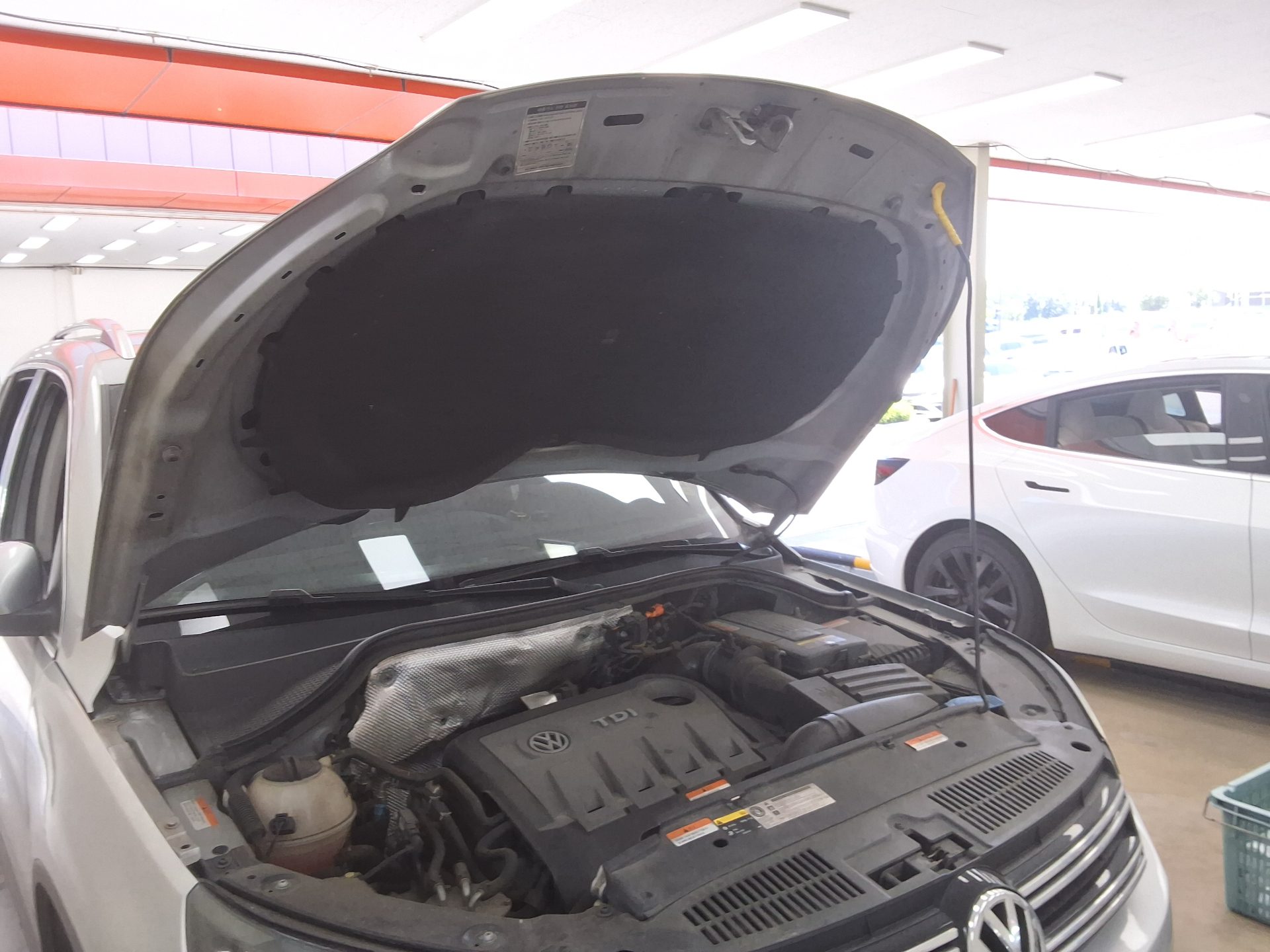 2014 - volkswagen tiguan
