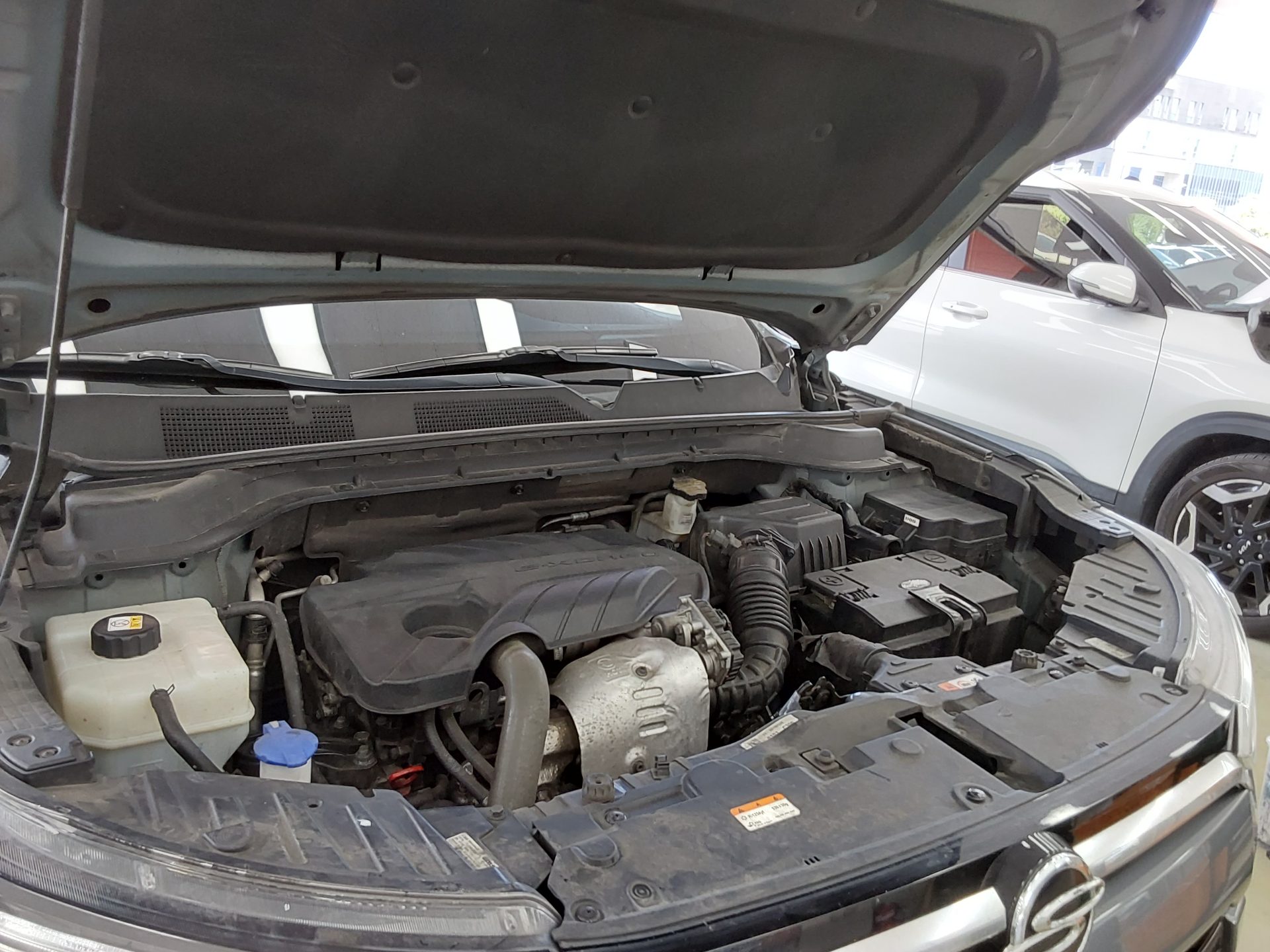 2019 - ssangyong korando
