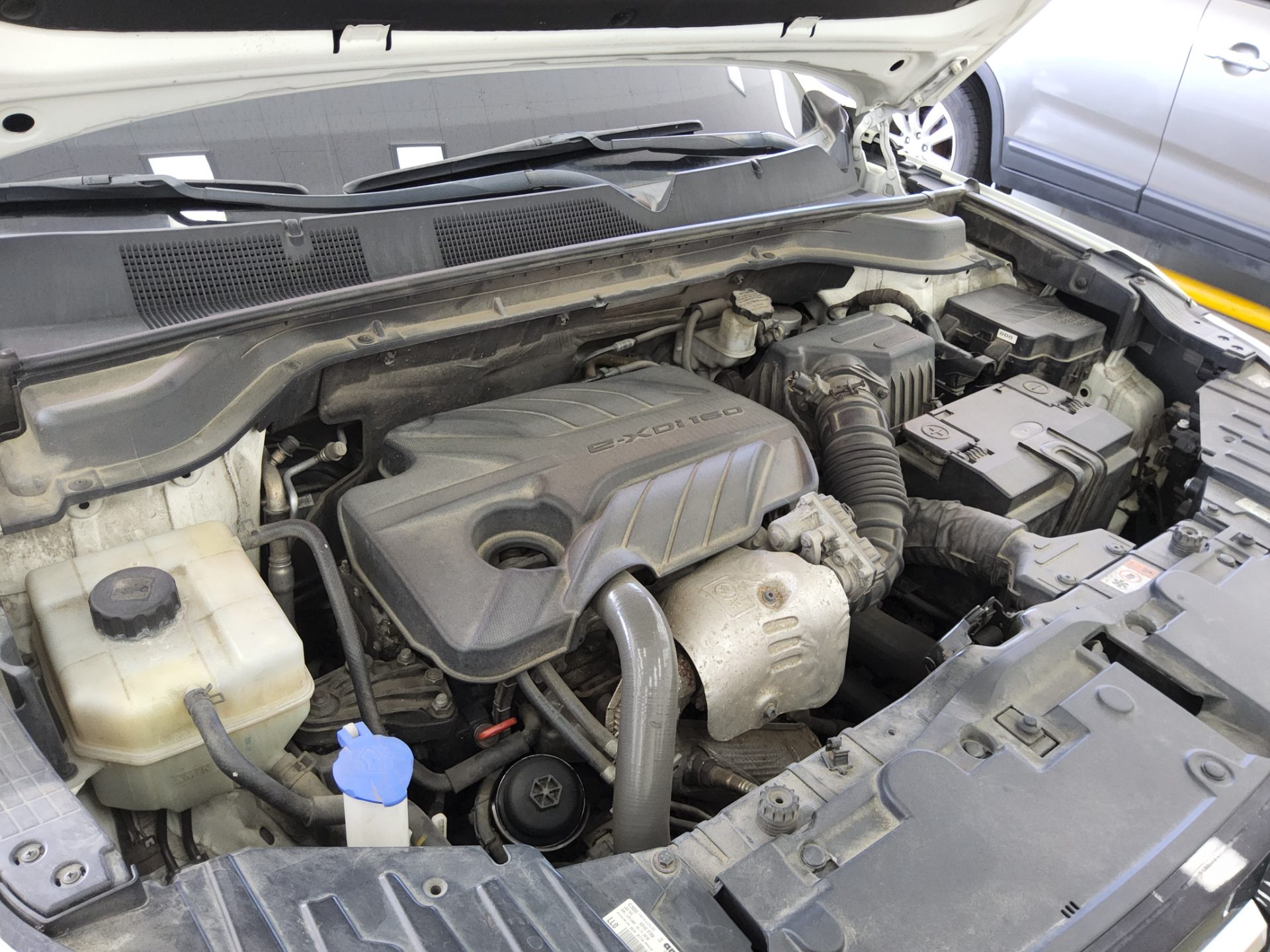 2019 - ssangyong korando