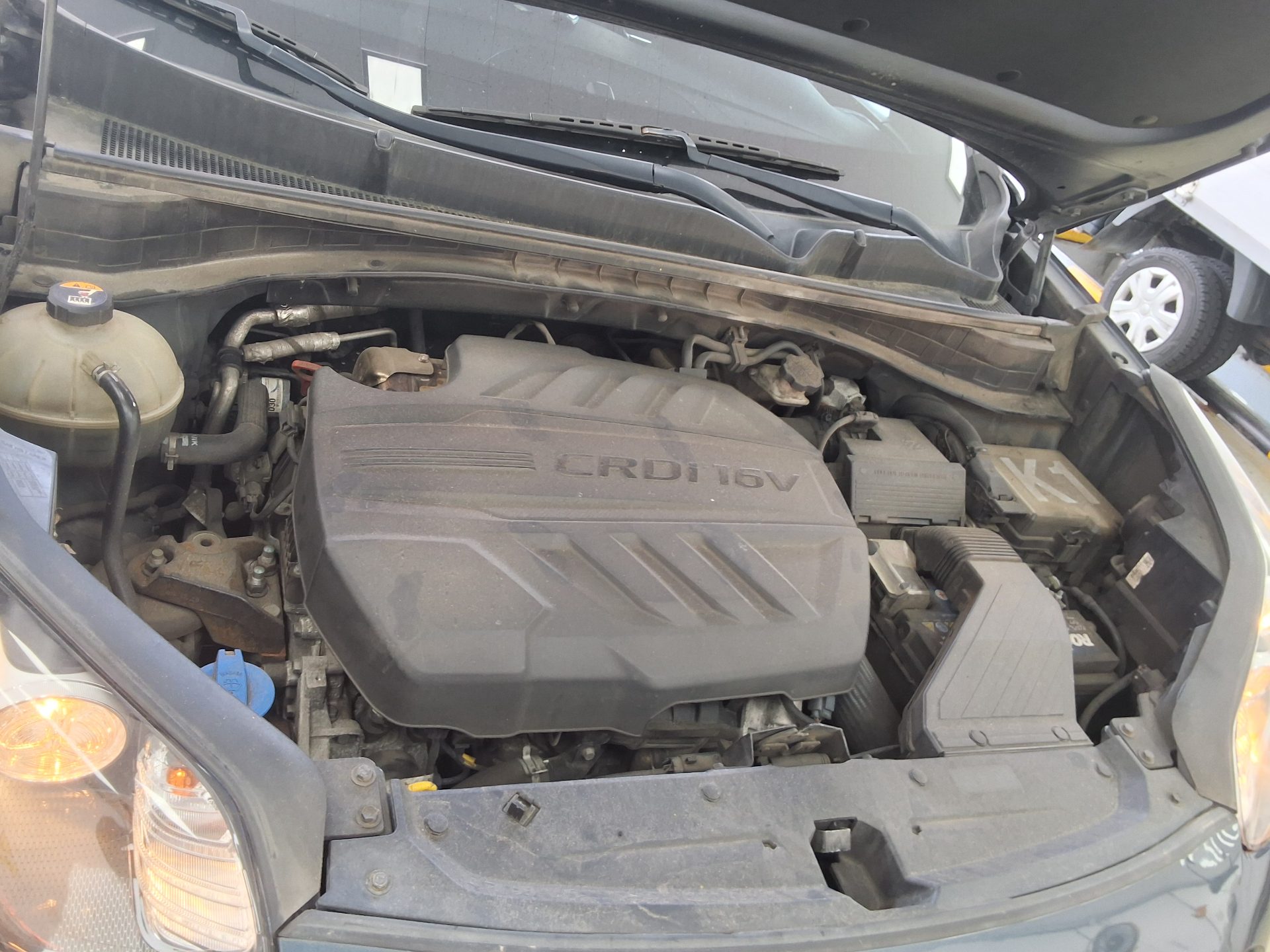 2019 - kia sportage