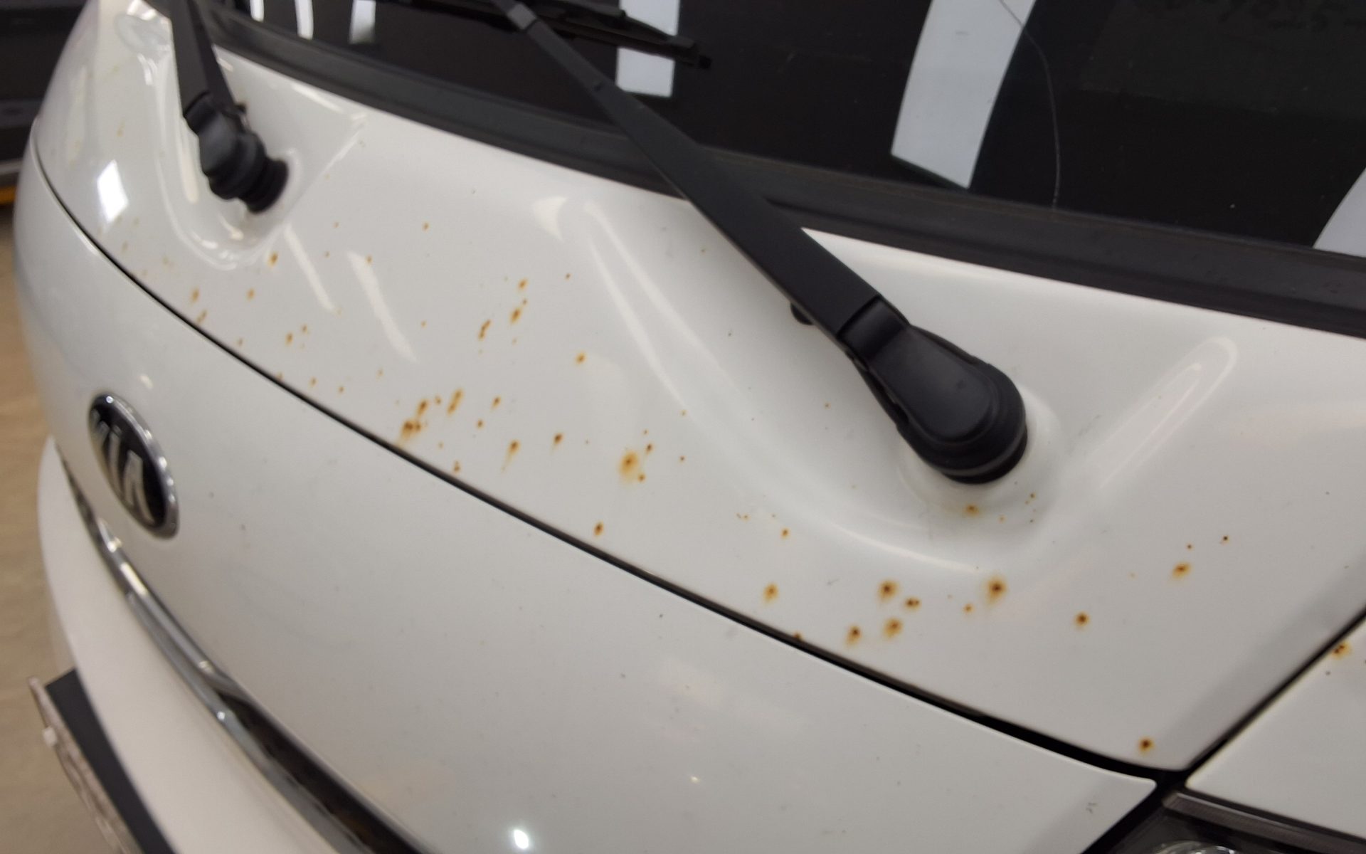 2019 - kia truck