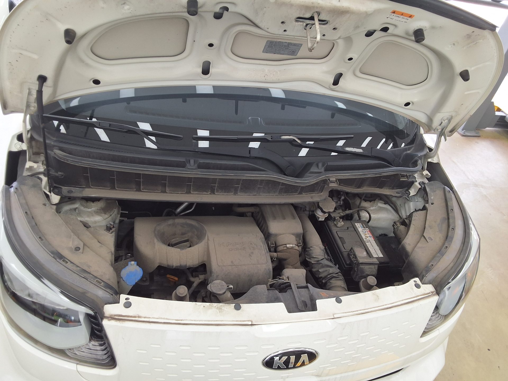 2019 - kia ray